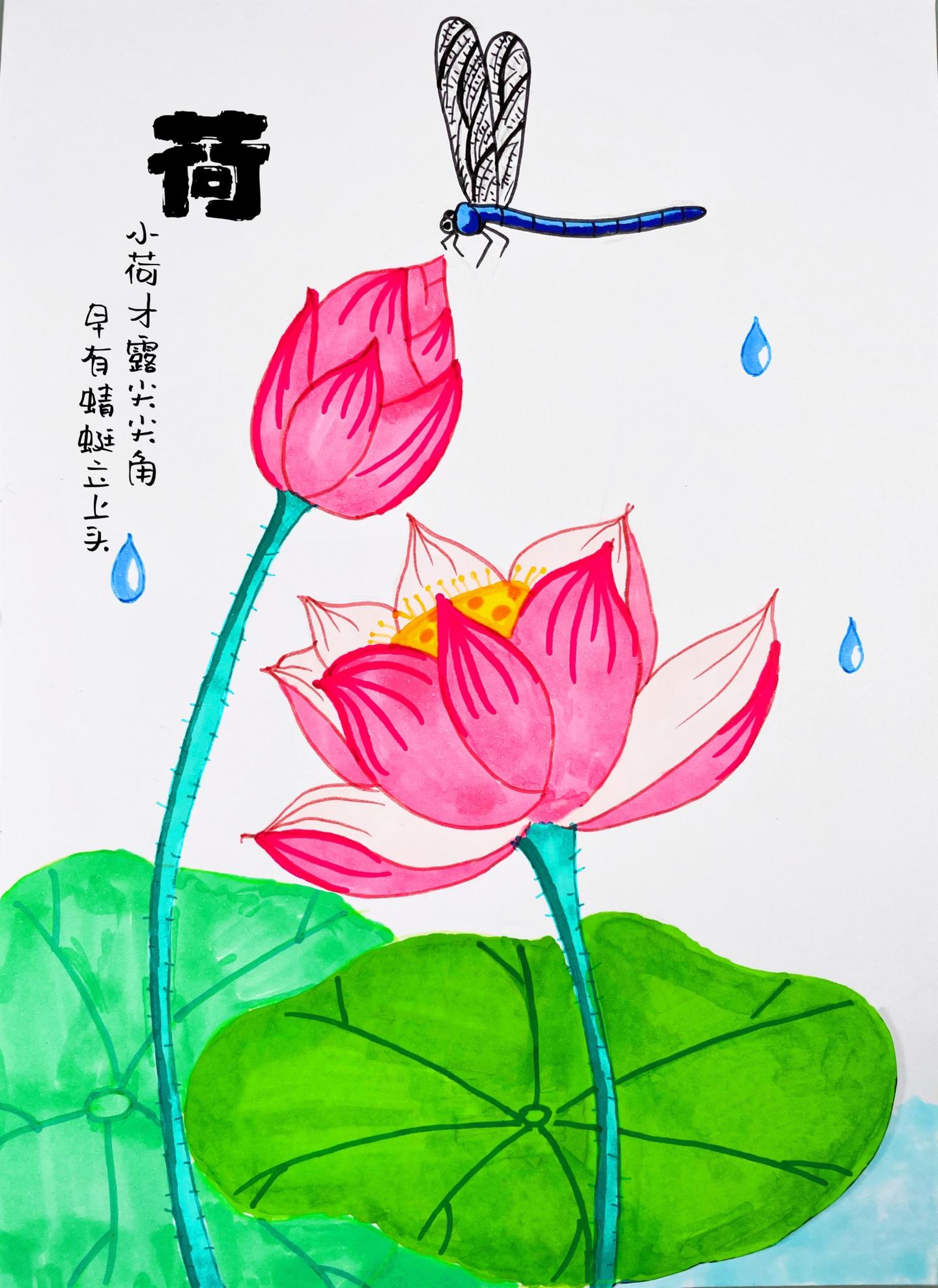 夏天画一副荷花蜻蜓图吧,小朋友一起画吧!