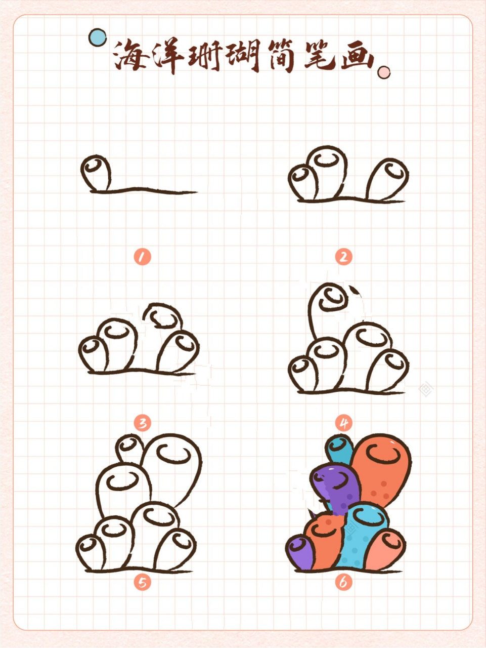 珊瑚简笔画丨绘画教程 海洋珊瑚集合 海草 海洋珊瑚简笔画 育儿简笔画