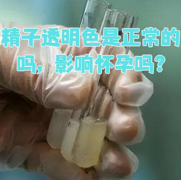 为什么精液是透明的 为什么精液是透明的
