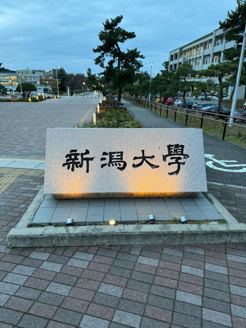 新泄大学图片