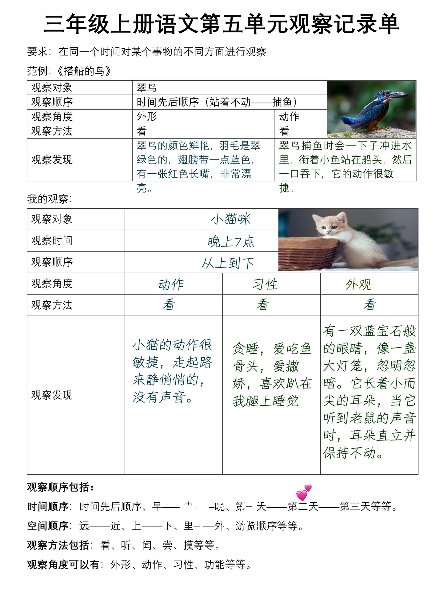 三年级上册语文第五单元观察记录单