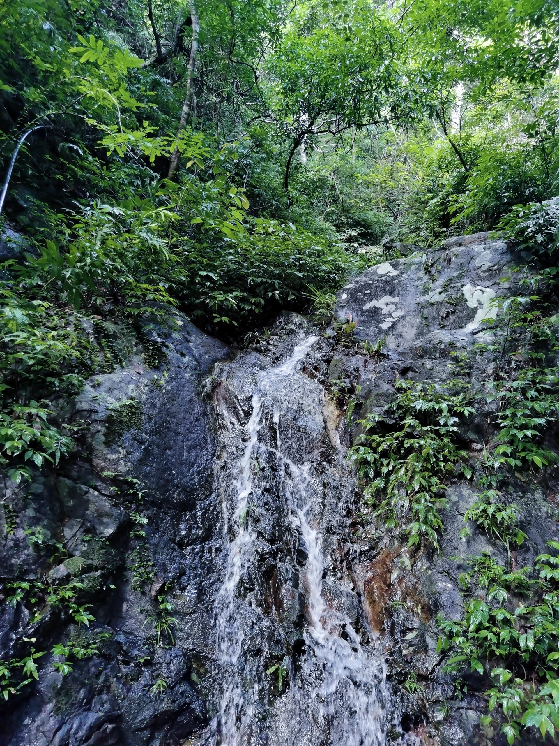 广西金秀-古沙沟