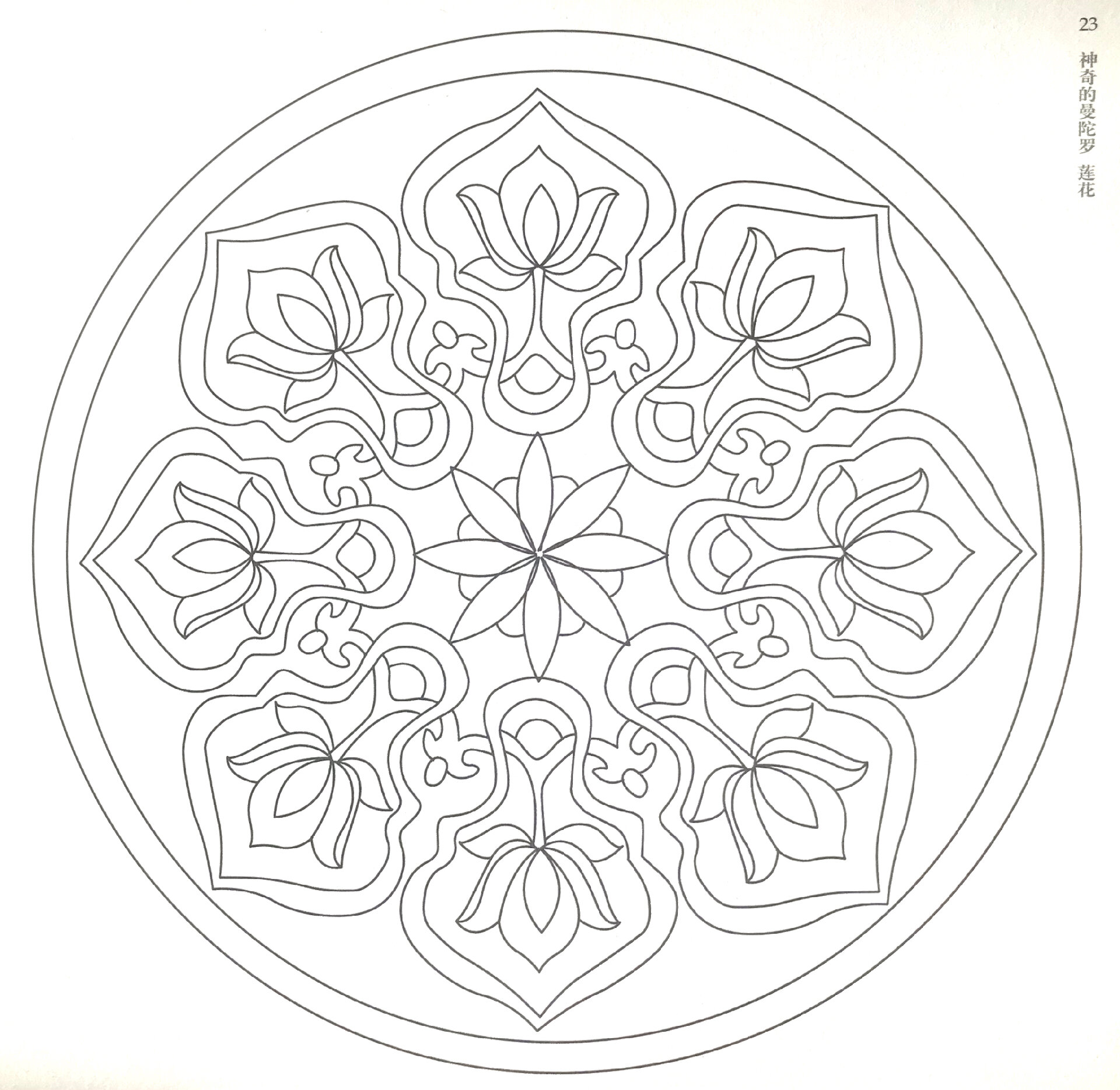 曼陀罗花绘画线稿设计笔控180款21-25 180款曼陀罗绘画持续更新第21