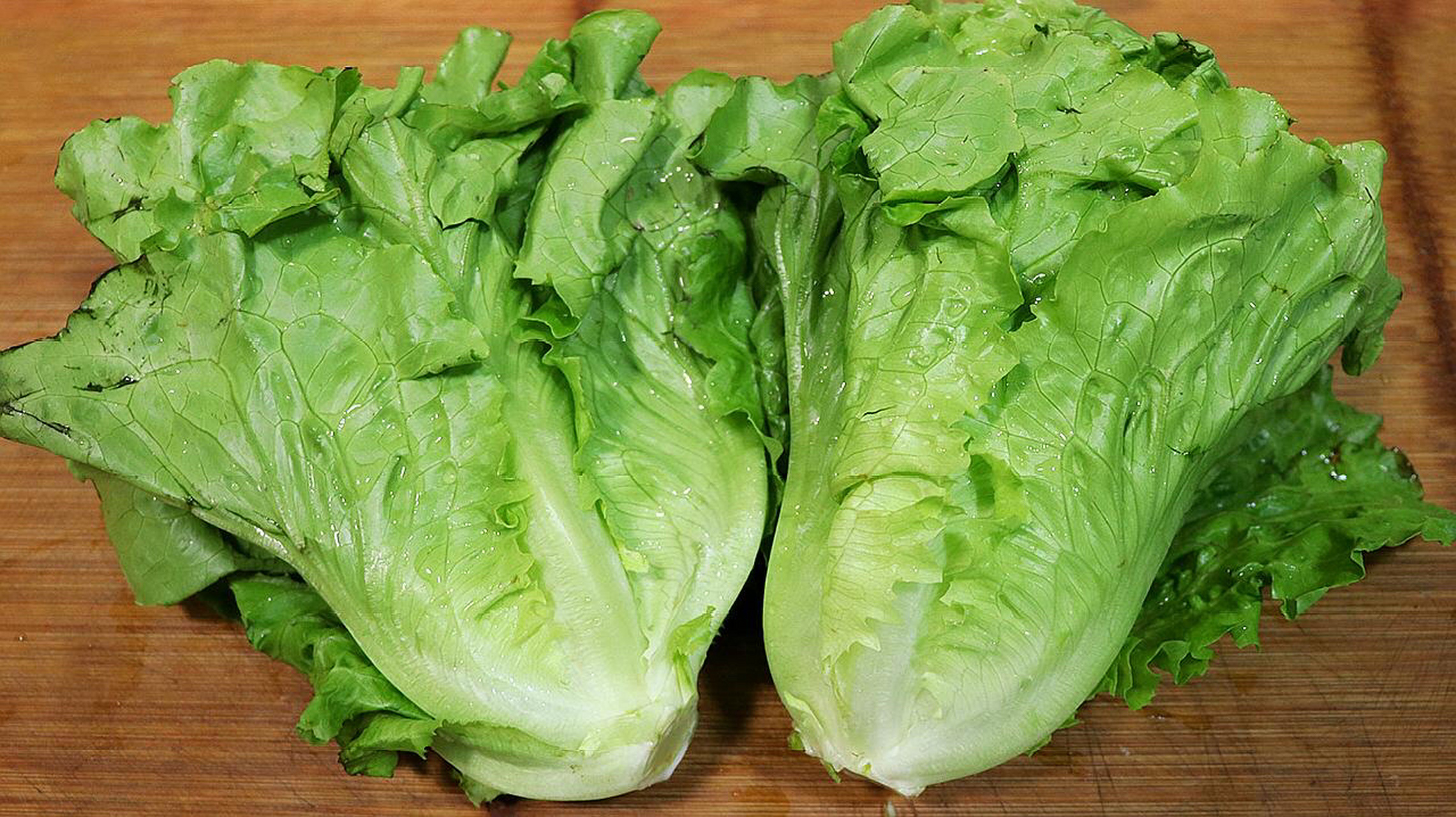 最刮油的蔬菜 天天吃06 生菜97 含有大量胡萝卜素 维生素还有膳食