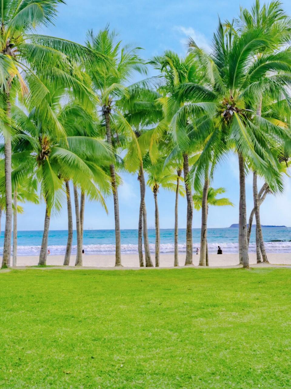 三亚文华东方酒店 东南亚风格的石头门,框住椰树90和大海98的景色