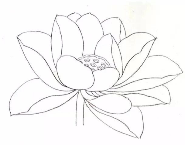 没骨冲水法画荷花 1,用狼毫勾线笔勾