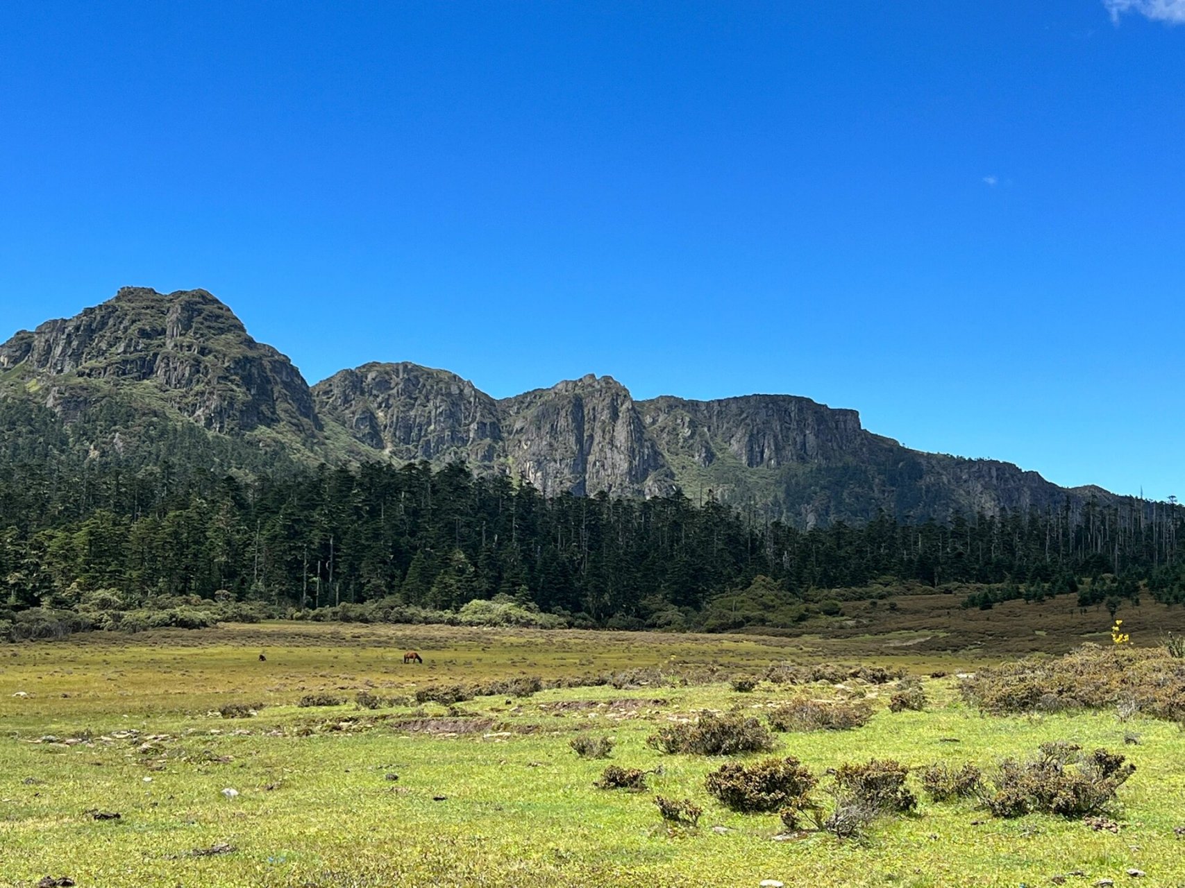 香格里拉小众徒步路线 - 小中甸千湖山 作为云南人,到香格里拉独克宗