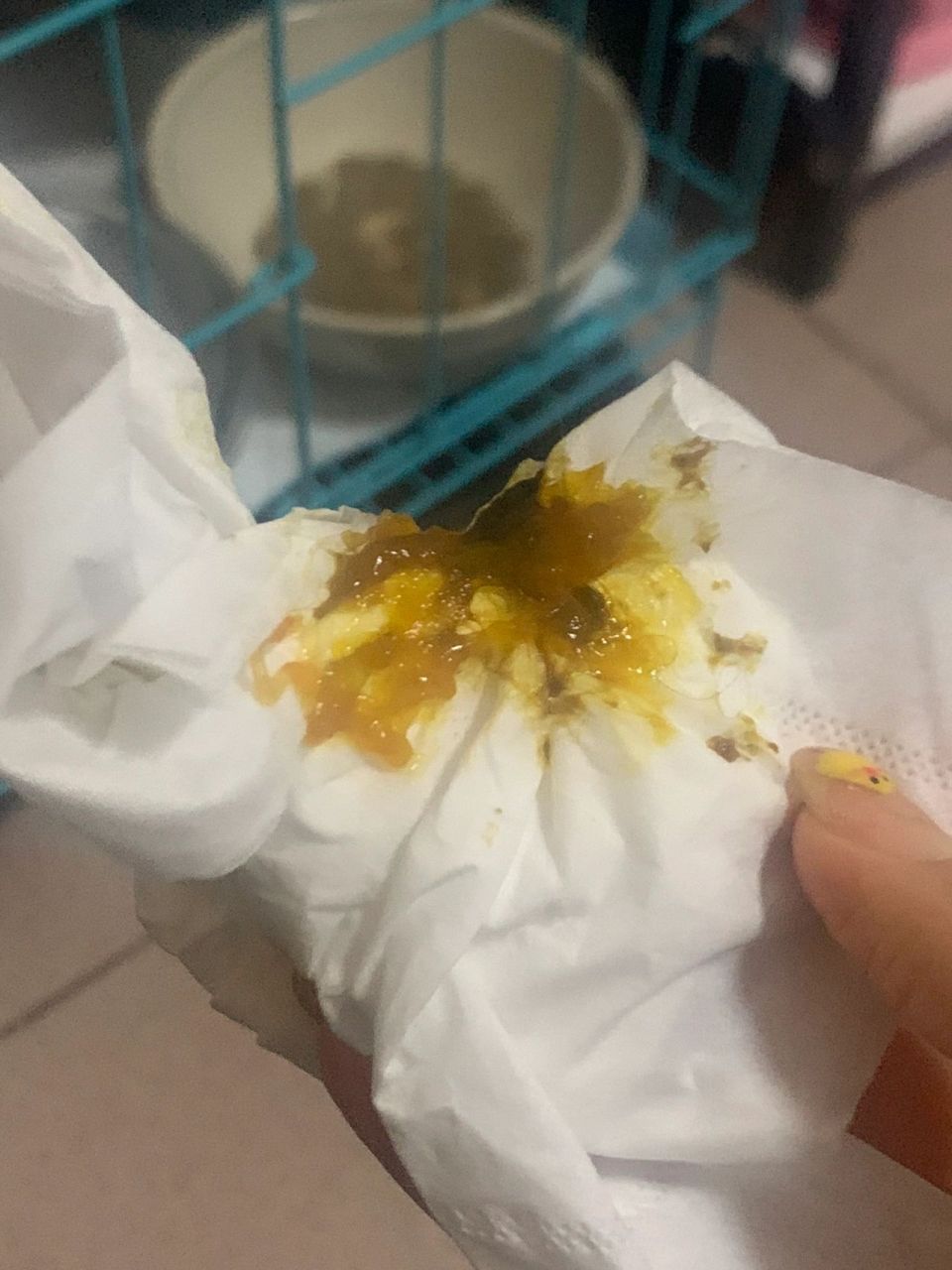 幼犬拉果冻状便便93 万能的们,这个是情况?该怎么办050505