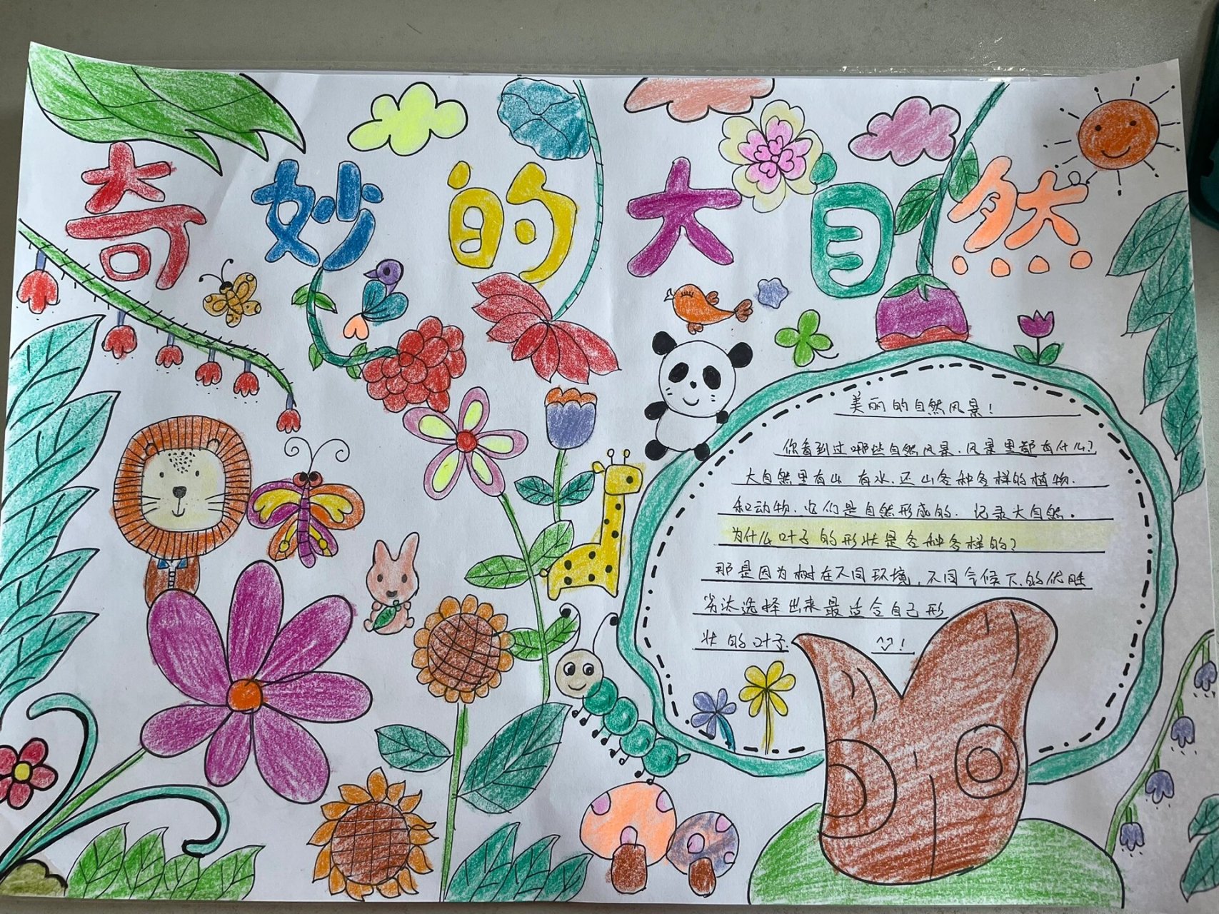 奇妙的大自然手抄报,保护环境 奇妙的大自然,东拼西凑凑起来的,颜色