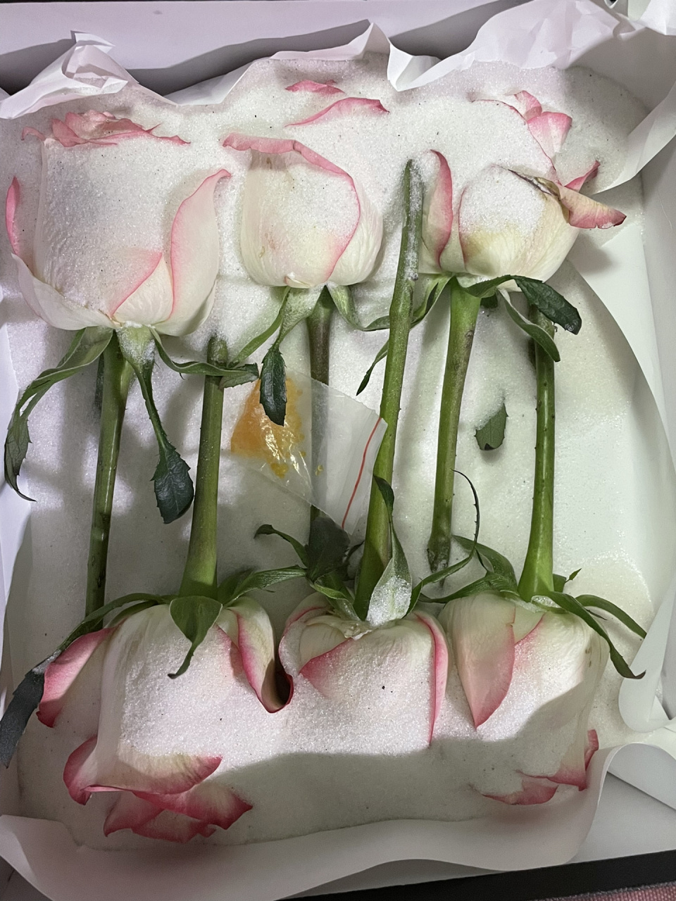 鲜花干燥剂买少了这样可以吗呜呜呜 买了500g 盒子太大填不满只能这样