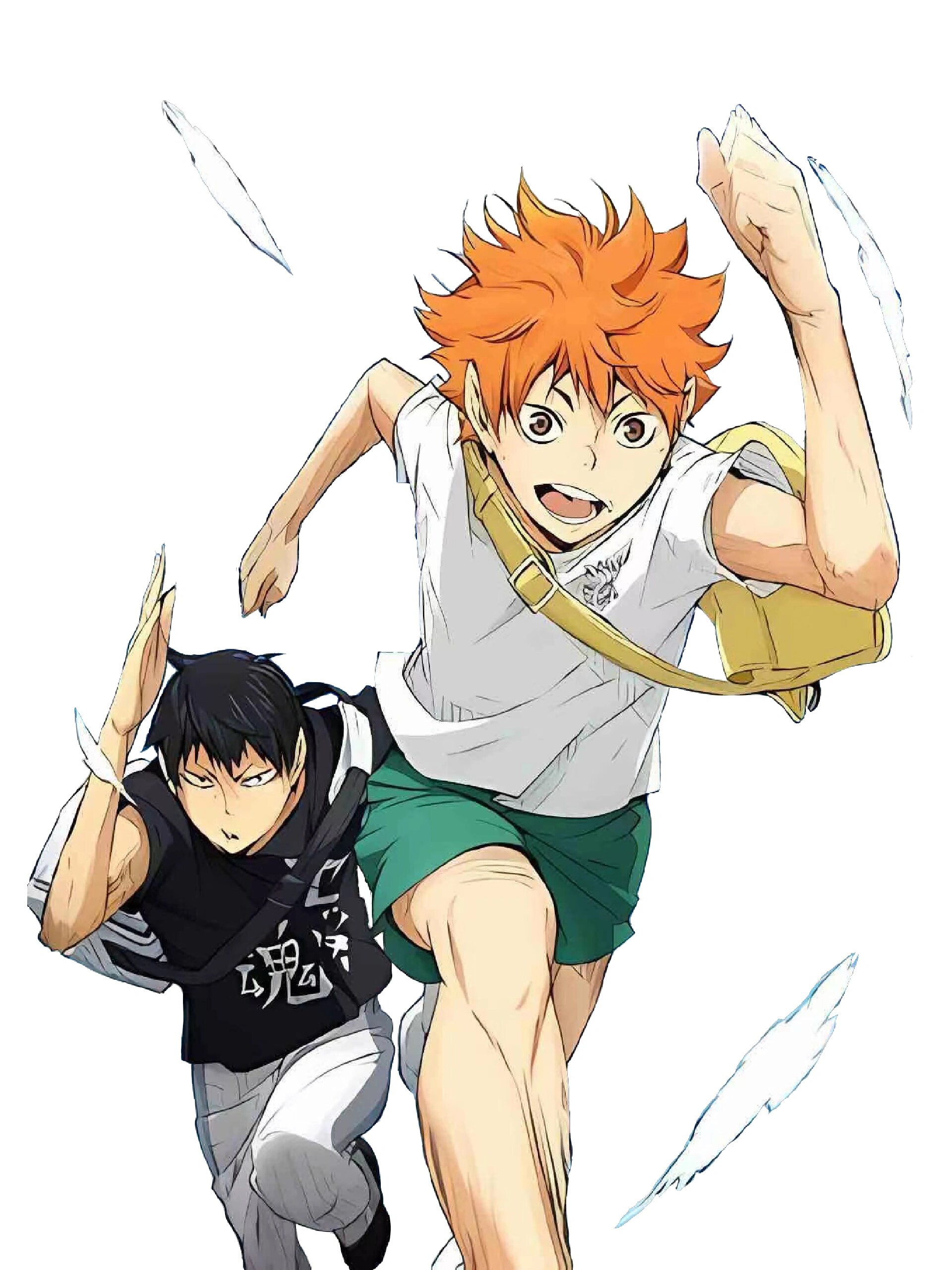 小排球抠图素材!影山飞雄and日向翔阳