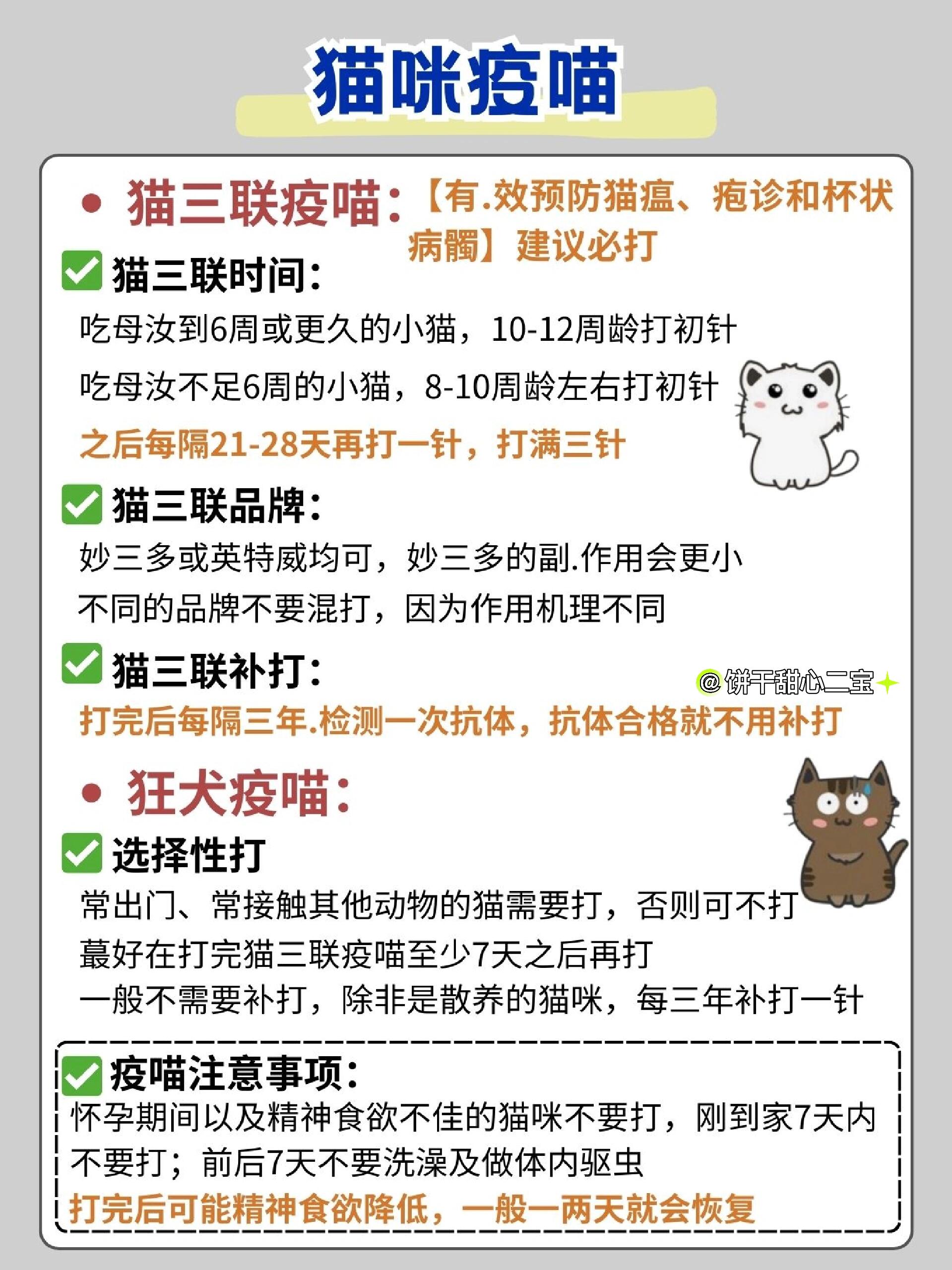 猫从小到大的成长图图片