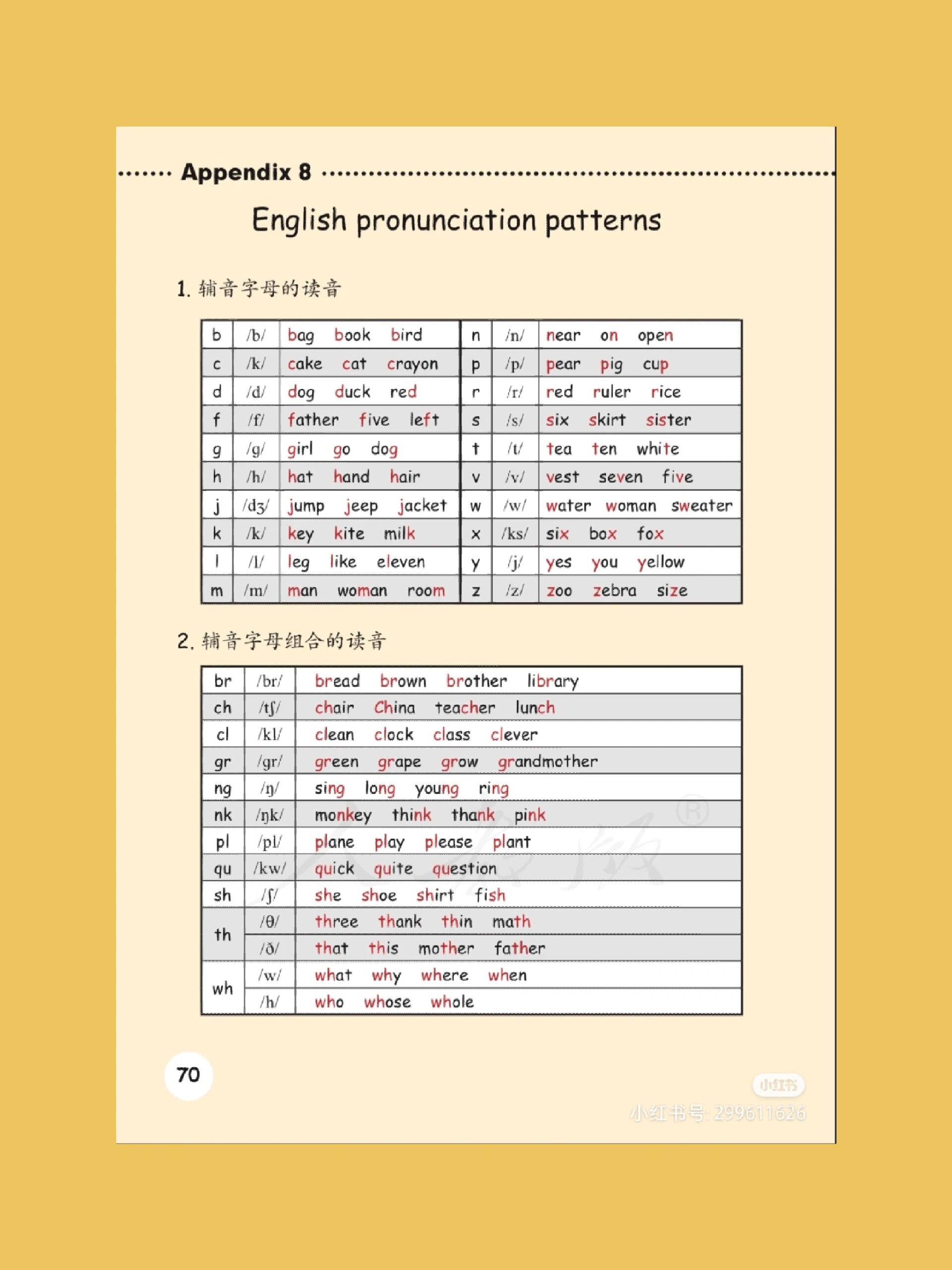 小学六年级下册英语单词表