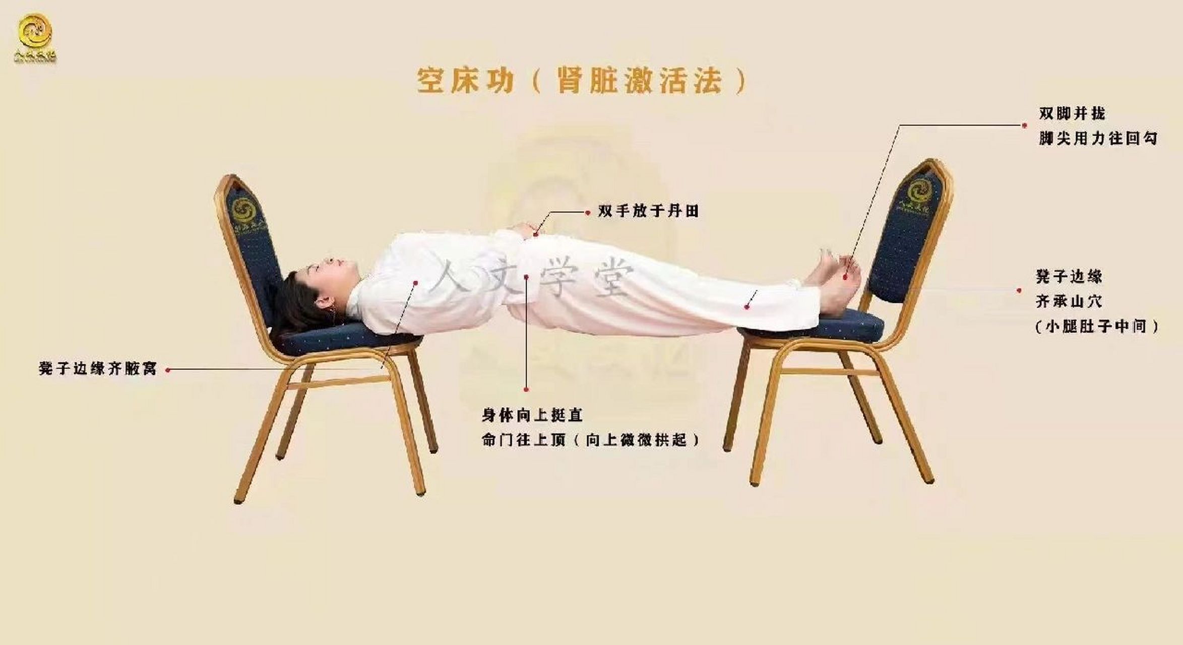 金刚铁板桥每天运动5~10分钟!