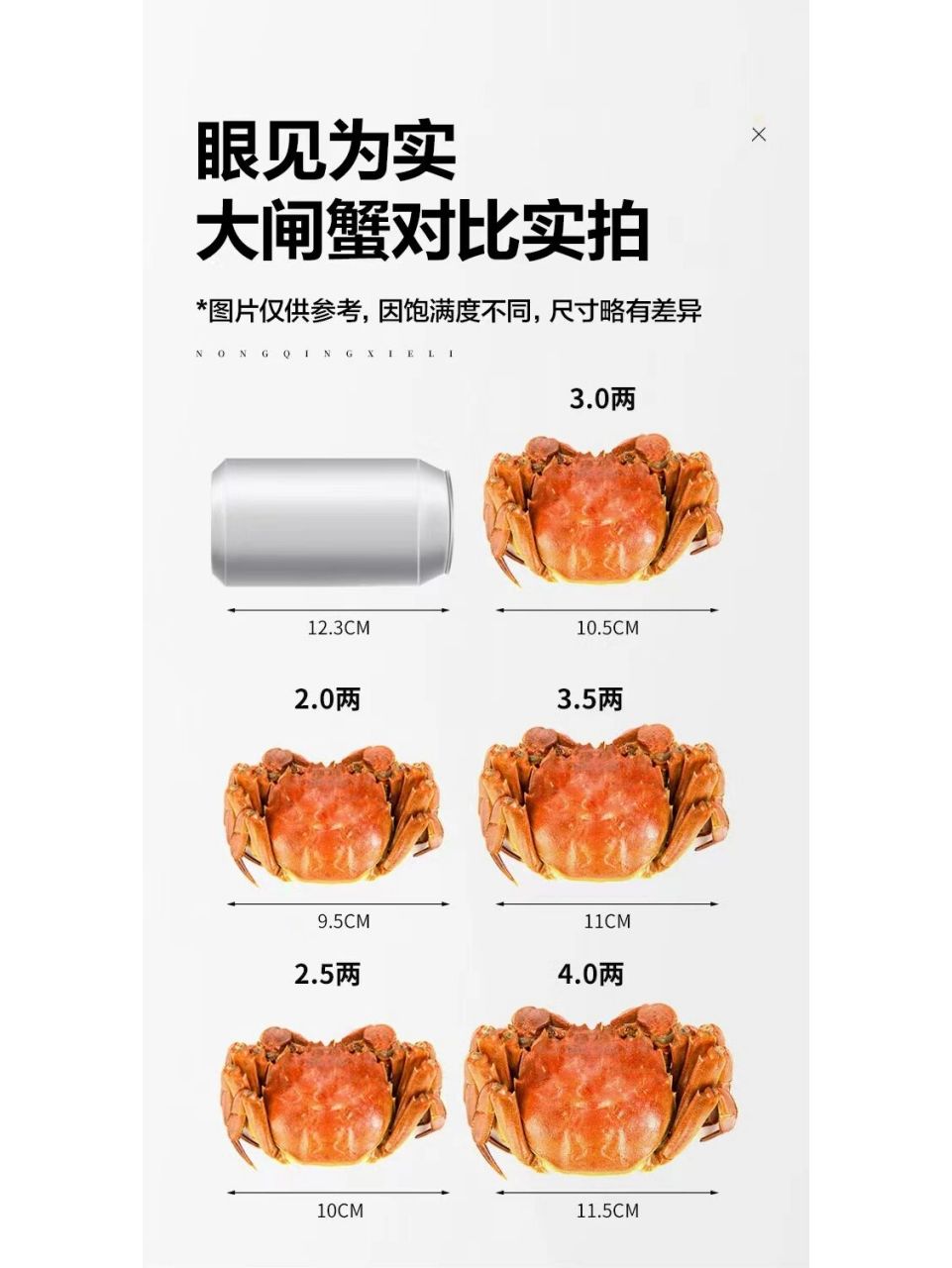 02大闸蟹的大小规格对比图带拿走不谢 77很多姐妹对大闸蟹的规格