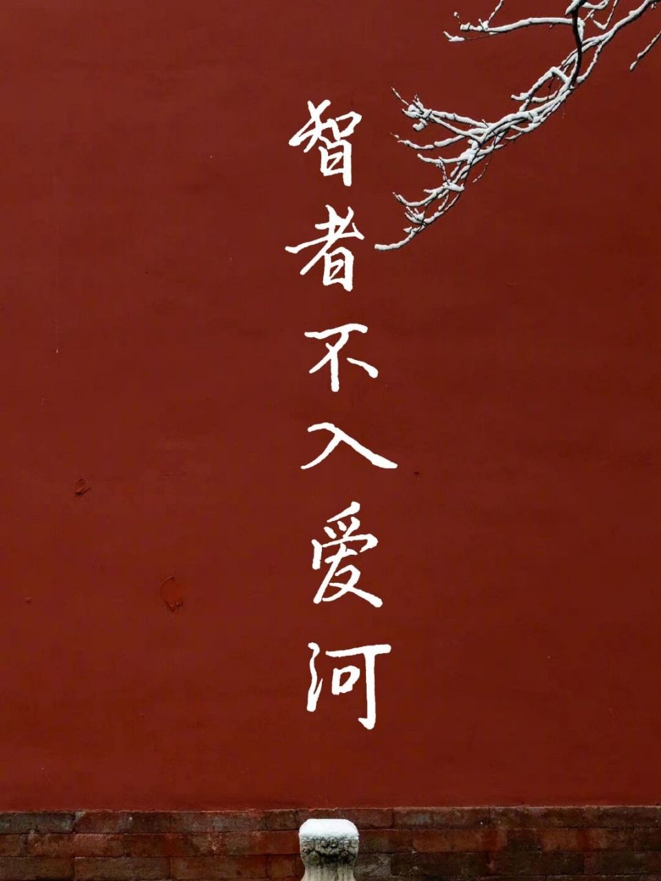 94手写 智者不入爱河,淹死概不负责 所以… #手写# #惊艳到你的句子