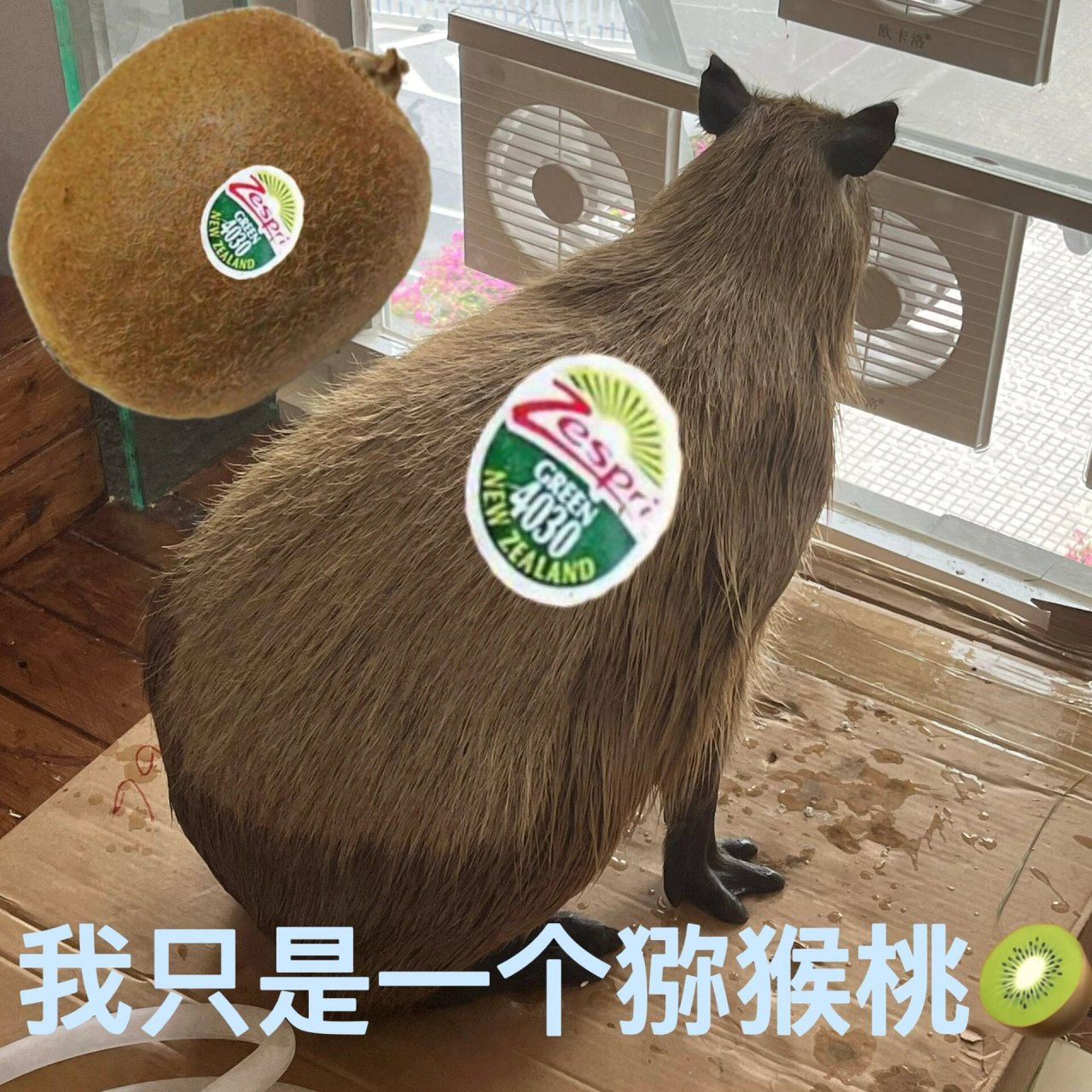 我是猕猴桃,卡皮巴拉是谁? 自己拍的,自己p的