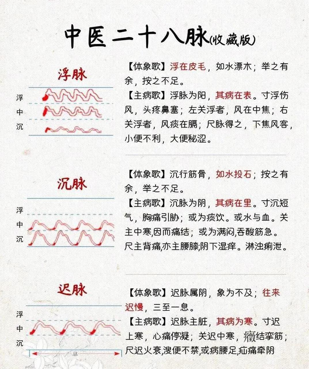 中医28脉(收藏版)