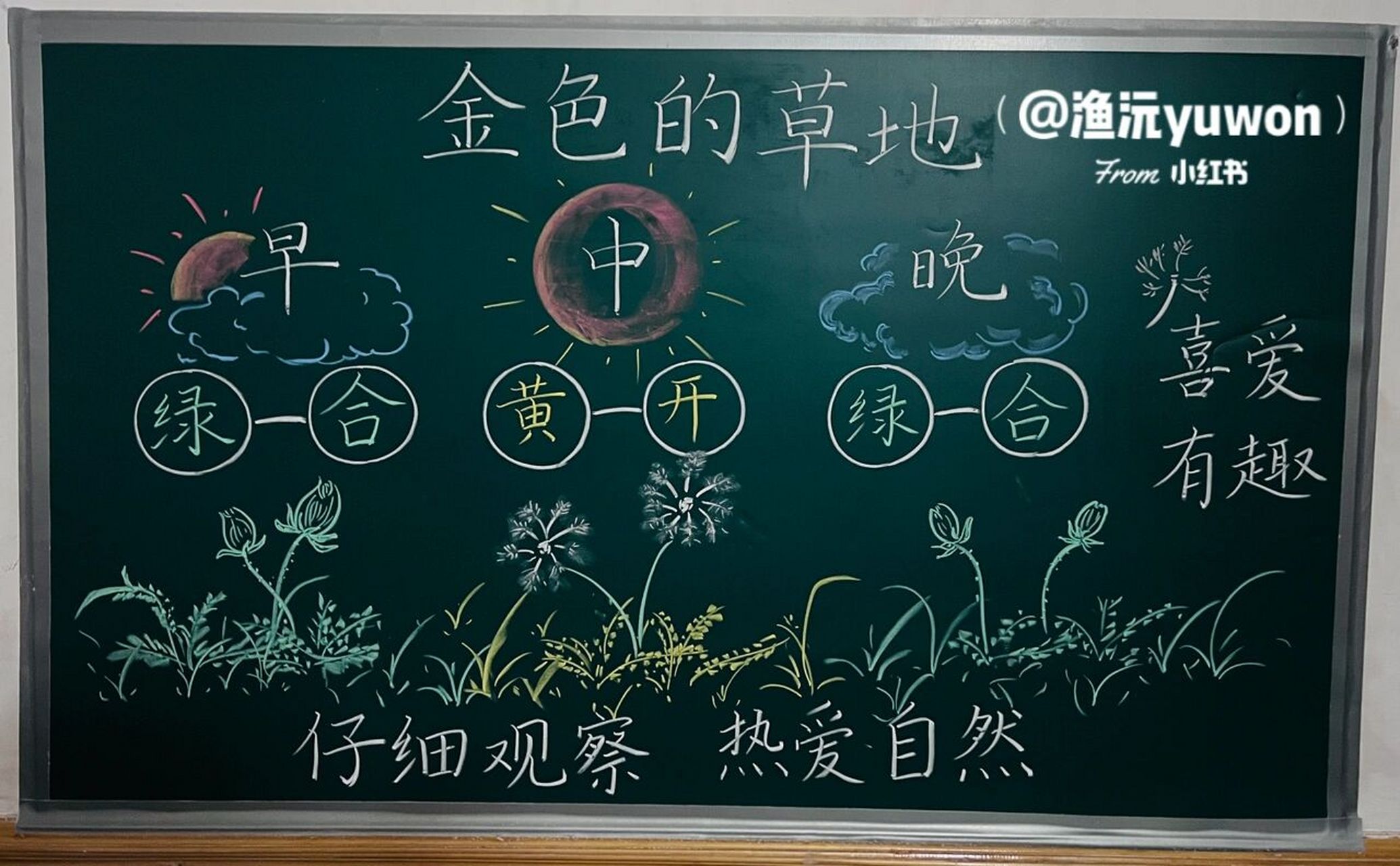 三(上)《金色的草地》板书设计 太久没发板书了,写教学简案,面试应该