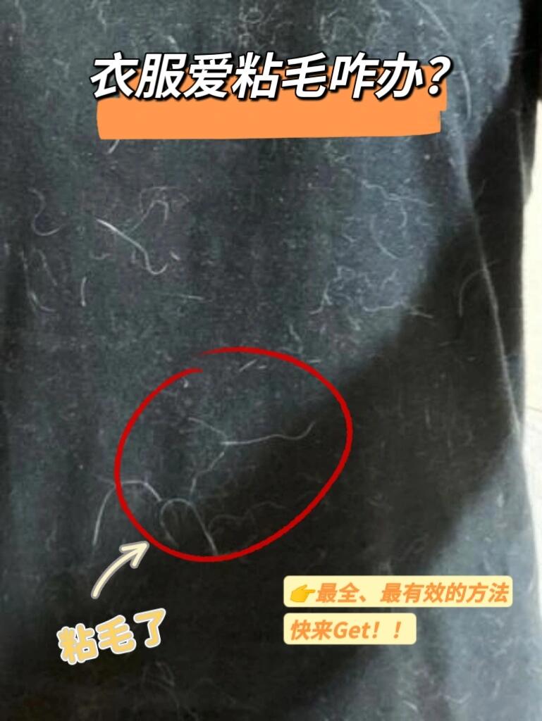 94 衣服粘毛?别烦恼,我有妙招!95