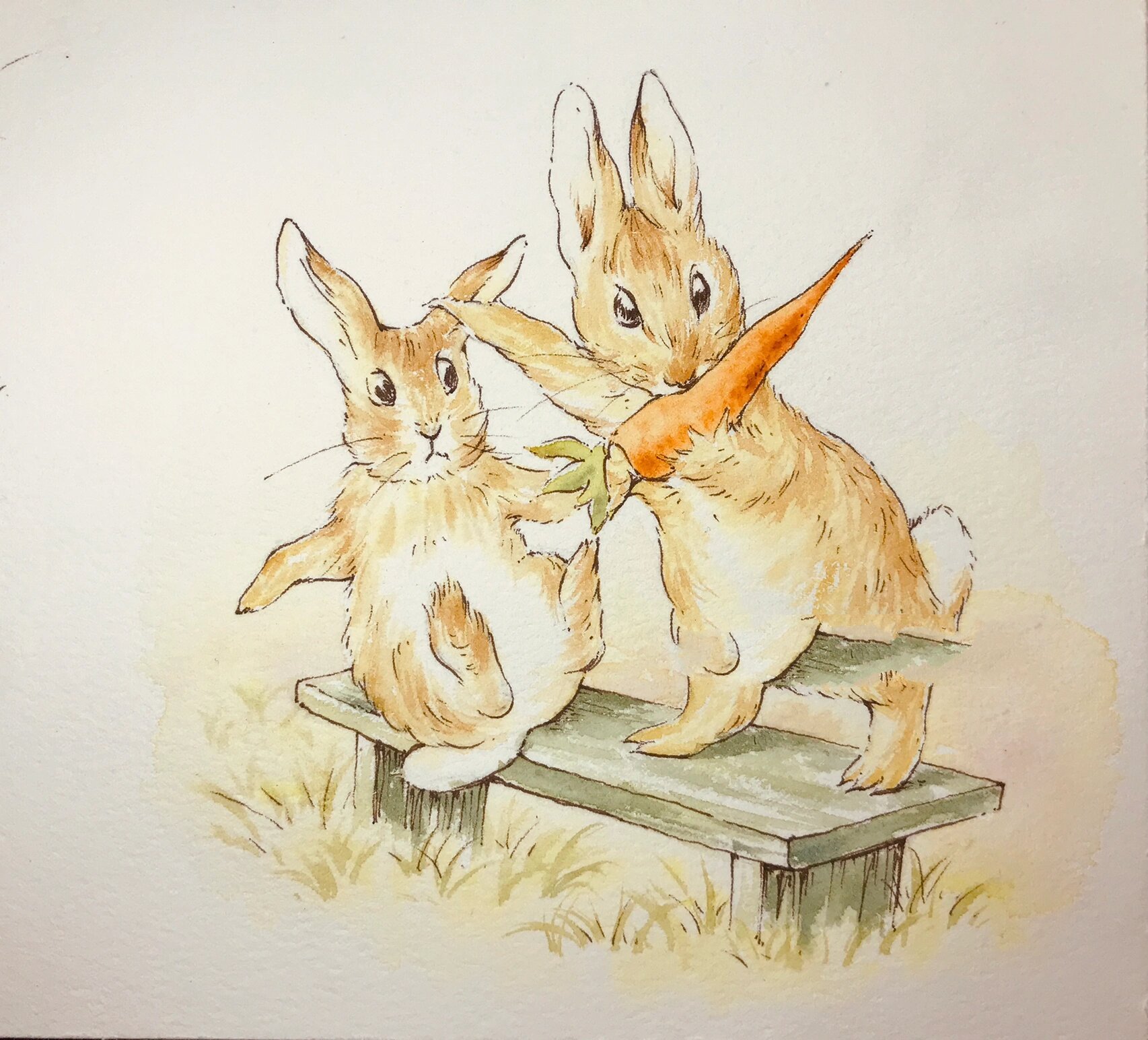 附线稿和过程图 最近画的一组水彩插画,是可爱的彼得兔的故事哇