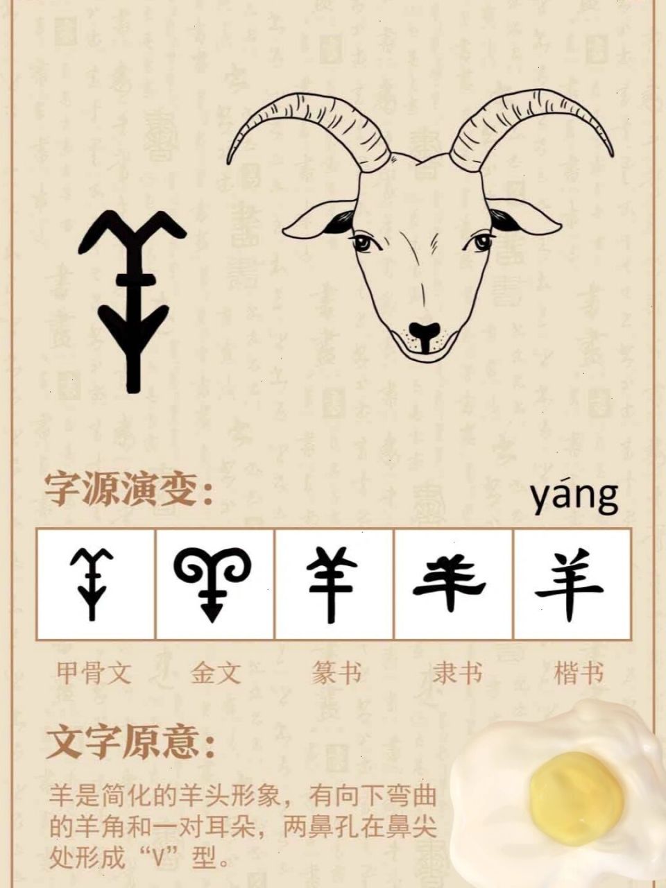 羊的演变过程汉字图片