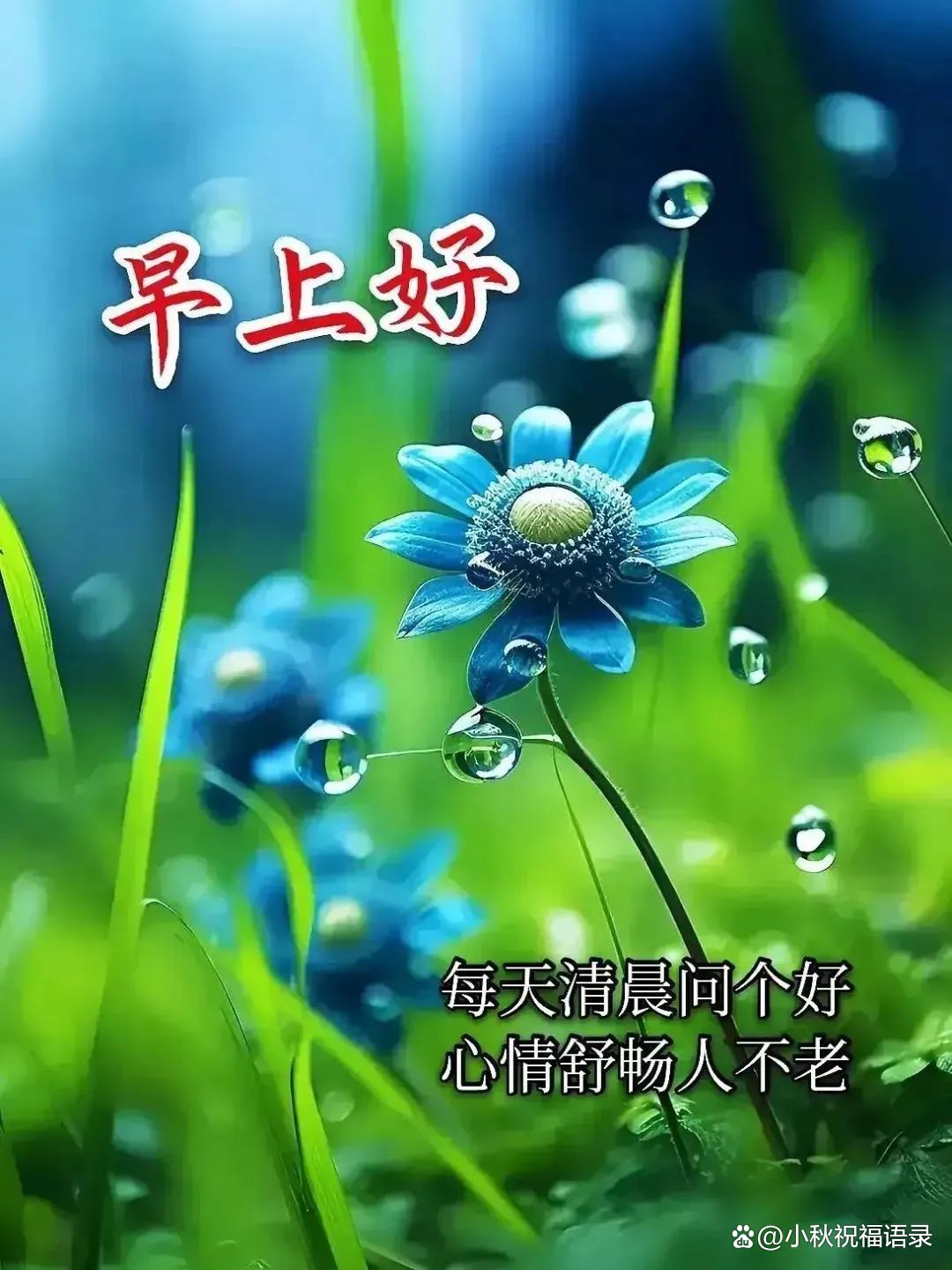早上醒来,别忘了跟好朋友互道一声早安,愿我们友谊长存,健康到老!