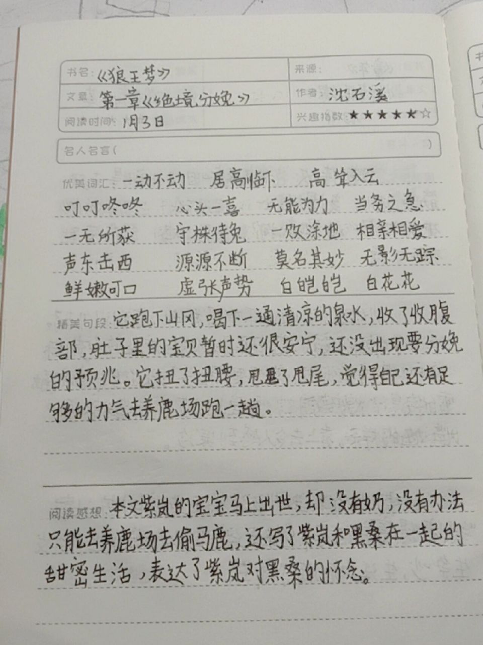 《狼王梦》读书笔记92