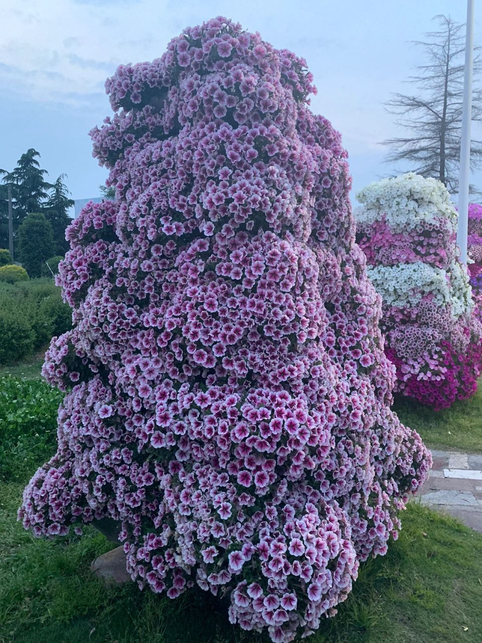 960_1280竖版 竖屏