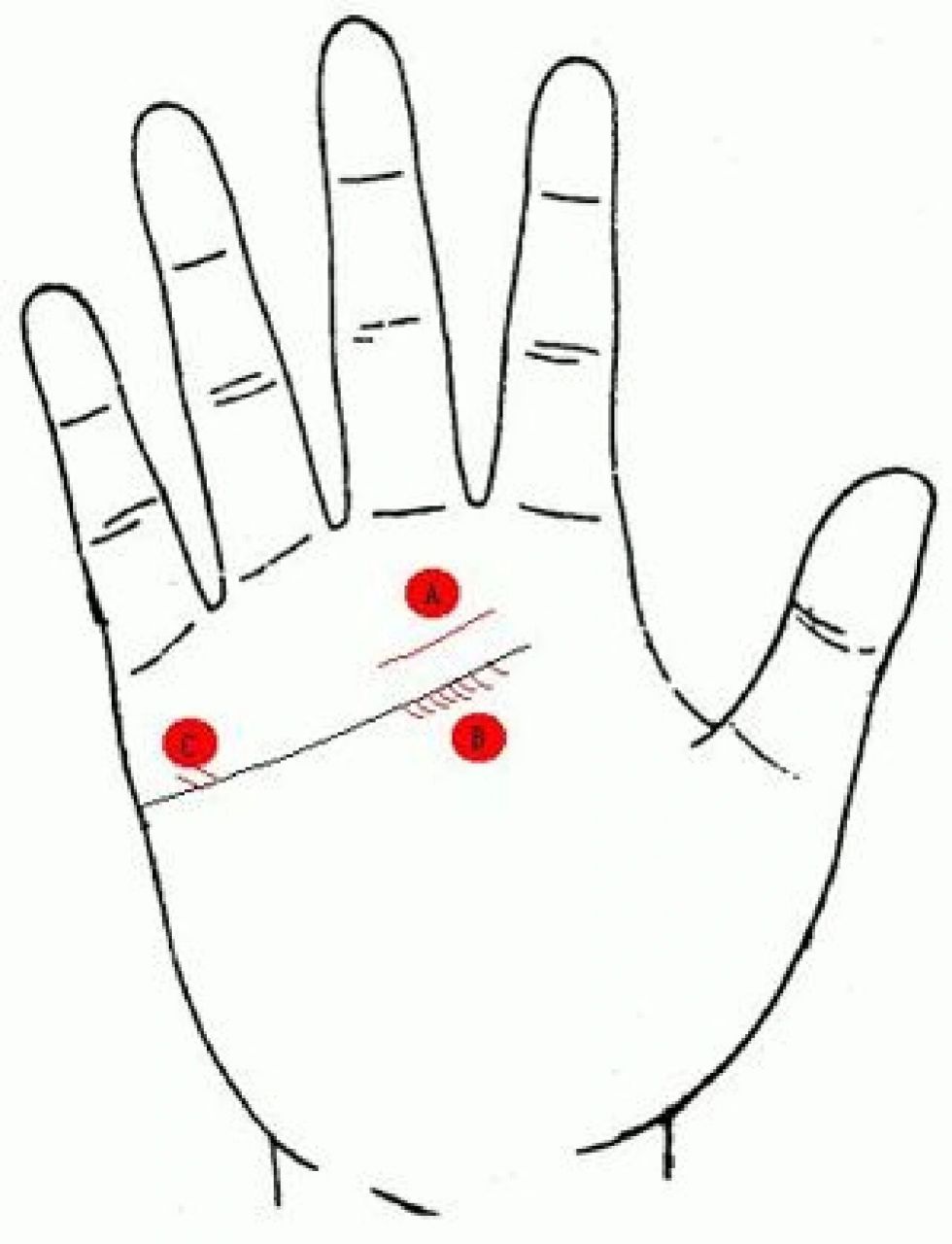 线的上部,再出现一条并行线时,又叫做"双重感情线",是主善于表现爱情