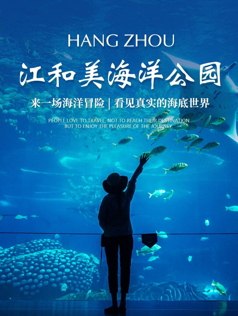 杭州江和美海洋公园98溜娃好去处 95江和美海洋公园,一个8000多