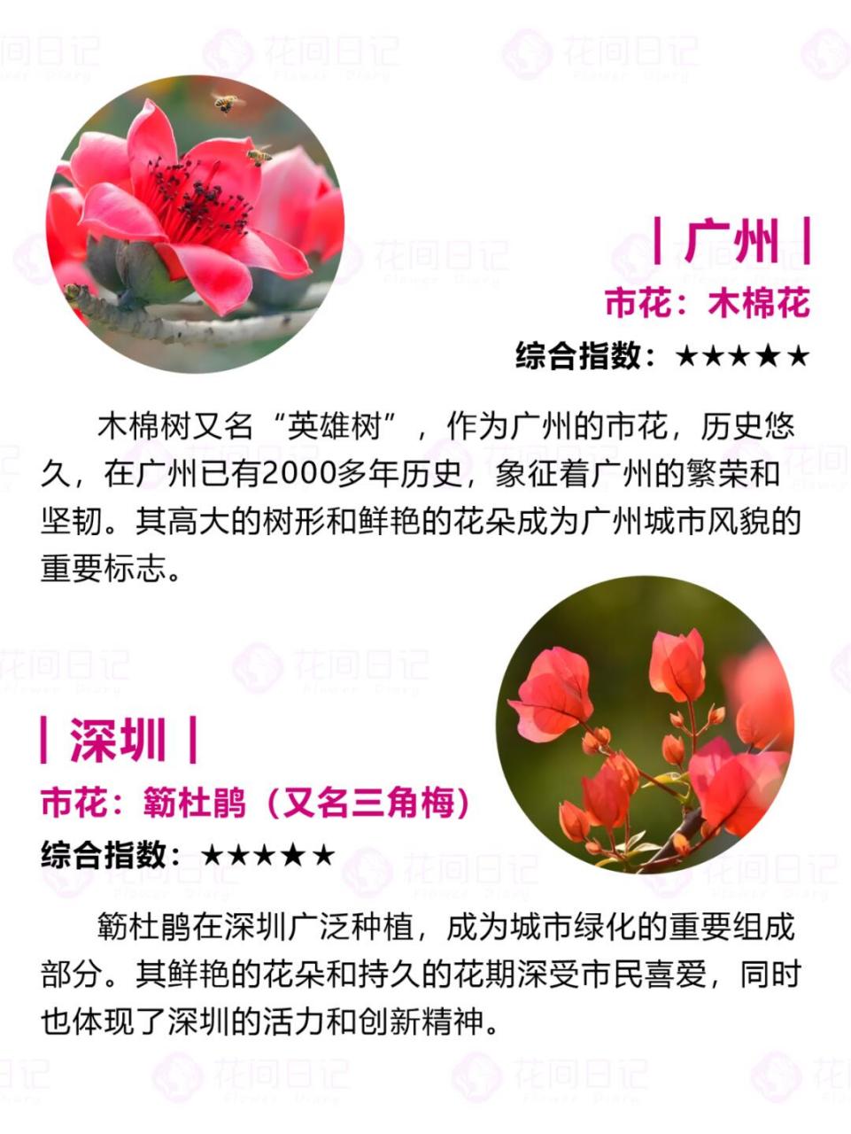 今天我给大家整理了广东各市的市花排名,让你们一次性get到所有美丽!