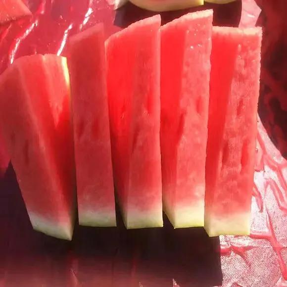 宁夏硒砂瓜,今年吃的最难吃的西瓜,没有之一!