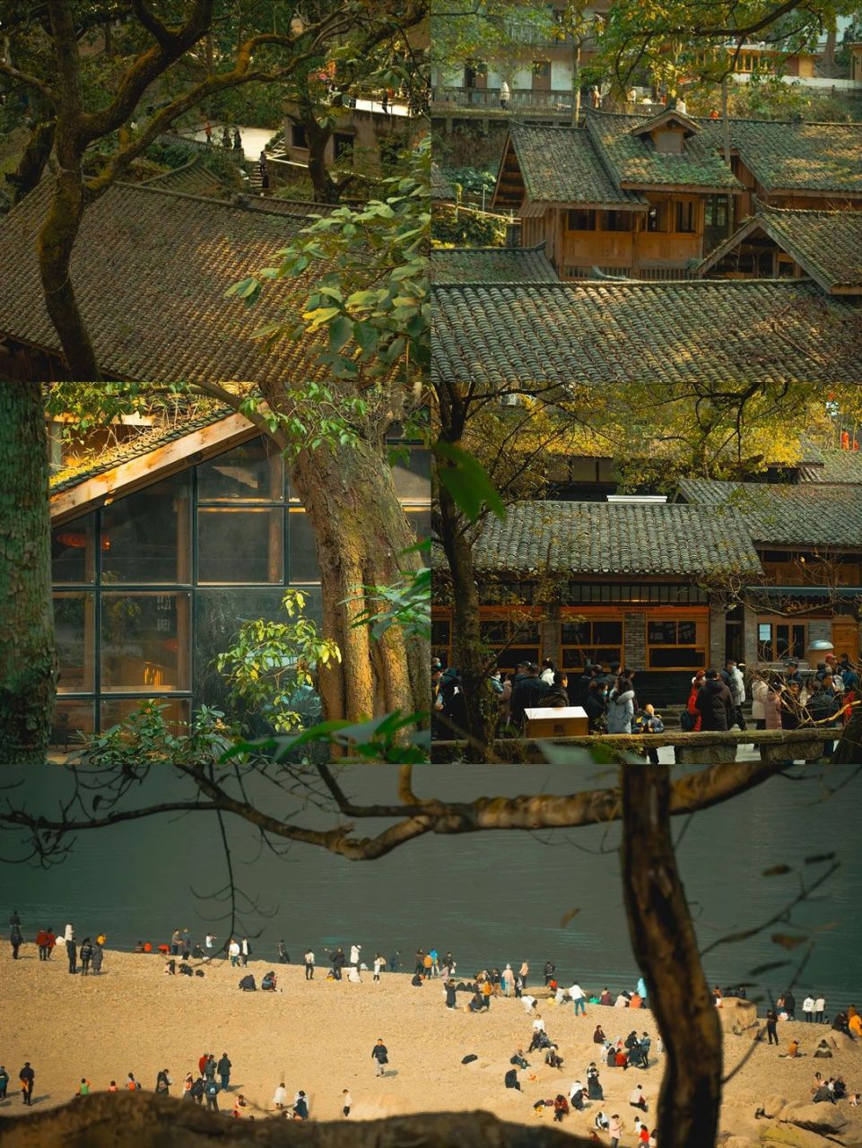 「古镇」金光闪闪的金刚碑古镇,值得周末一去  嘉陵江黄桷树 青石黑瓦