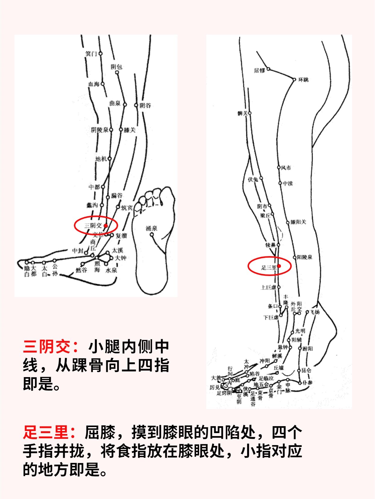 足三阳的准确位置图片图片