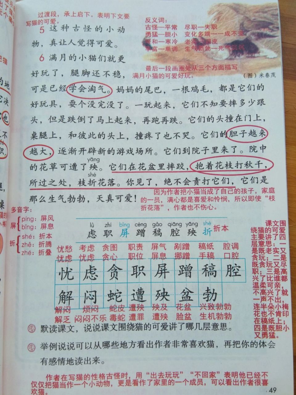 四年级下册语文第13课《猫》