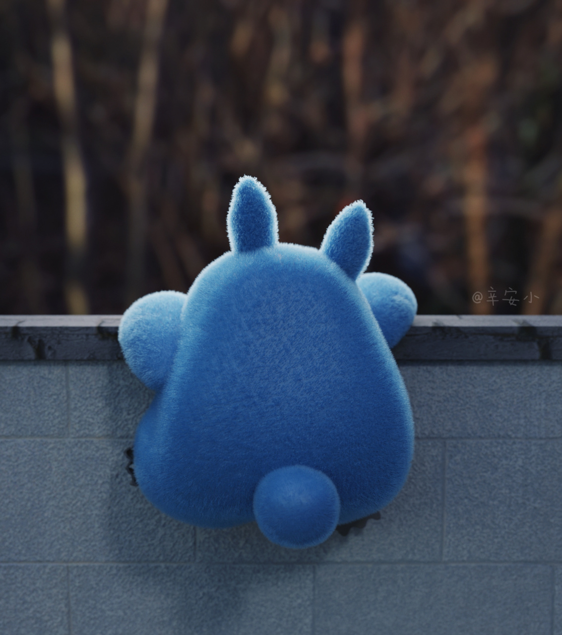 你们要的小趴菜pp|情侣头像合集 给你们给你们