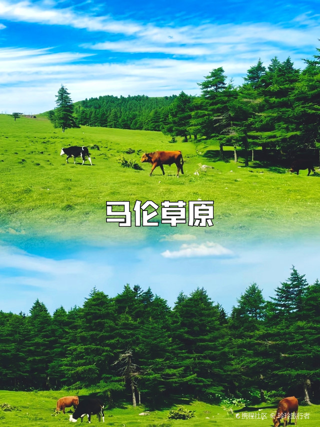 海拔2712米的马仑草原!山西周边好去处