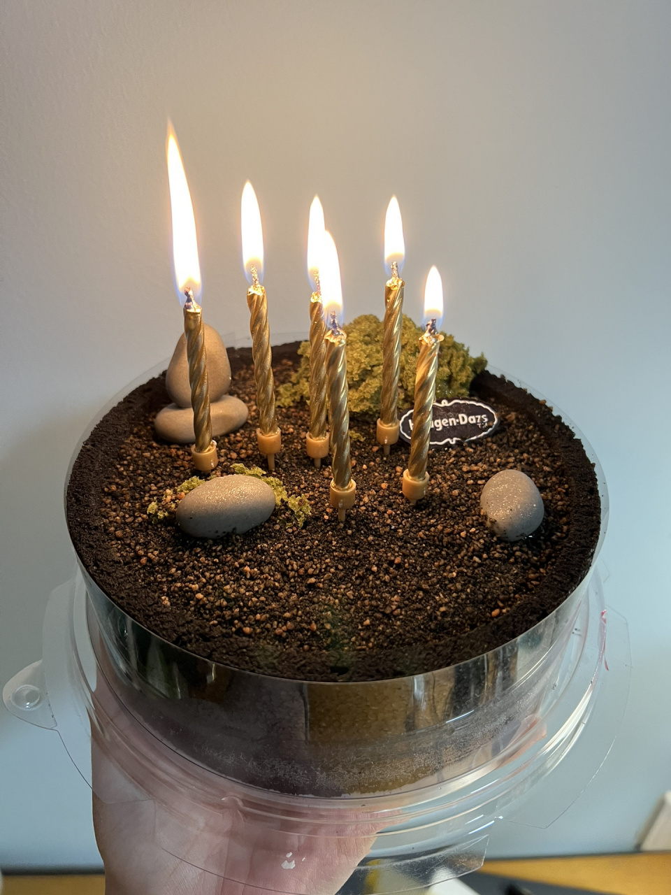 哈根达斯极墨冰淇淋蛋糕测评 因为喜欢吃哈根达斯的抹茶冰淇淋,所以买