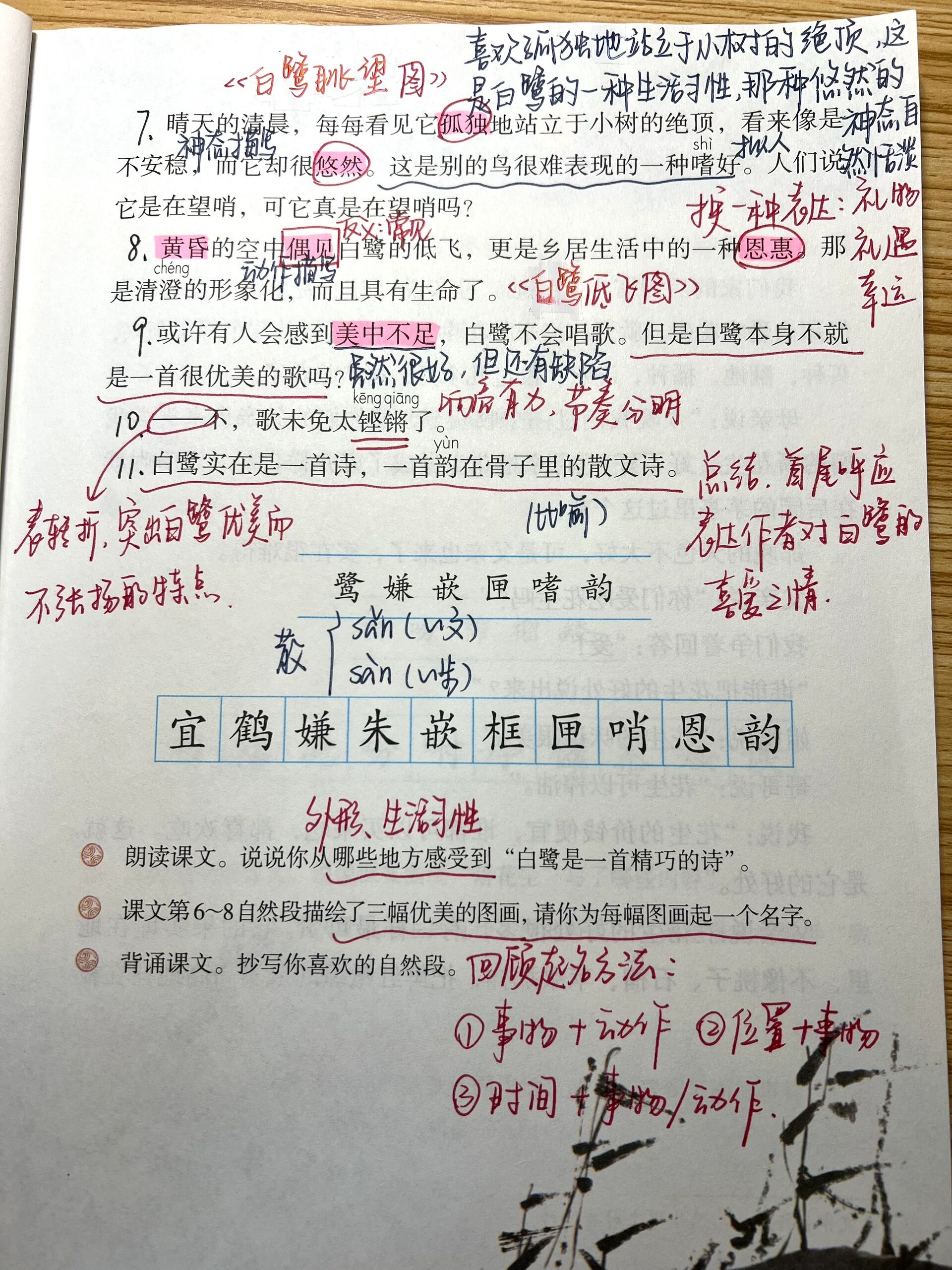 《白鹭》课文笔记图片