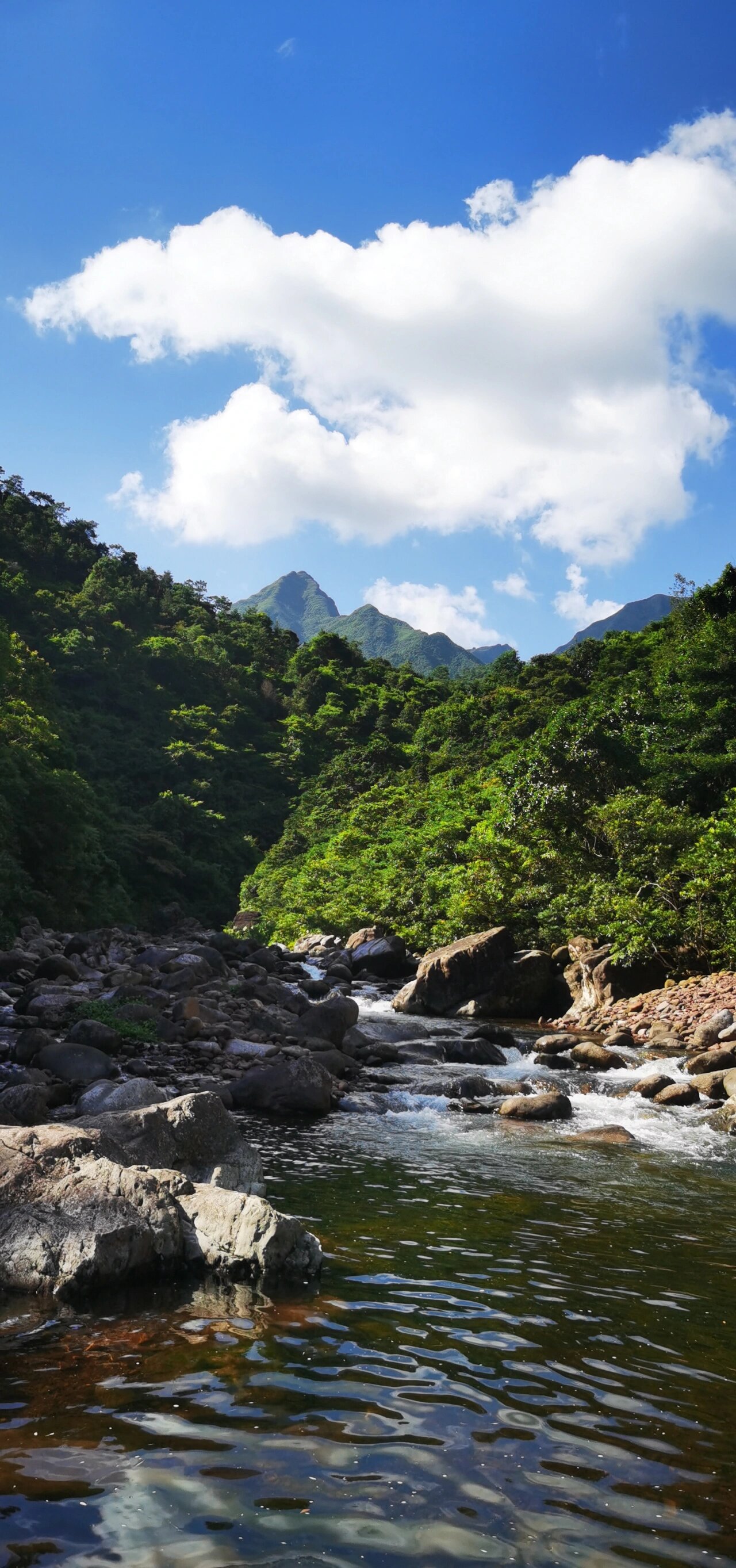 防城区大菉镇图片