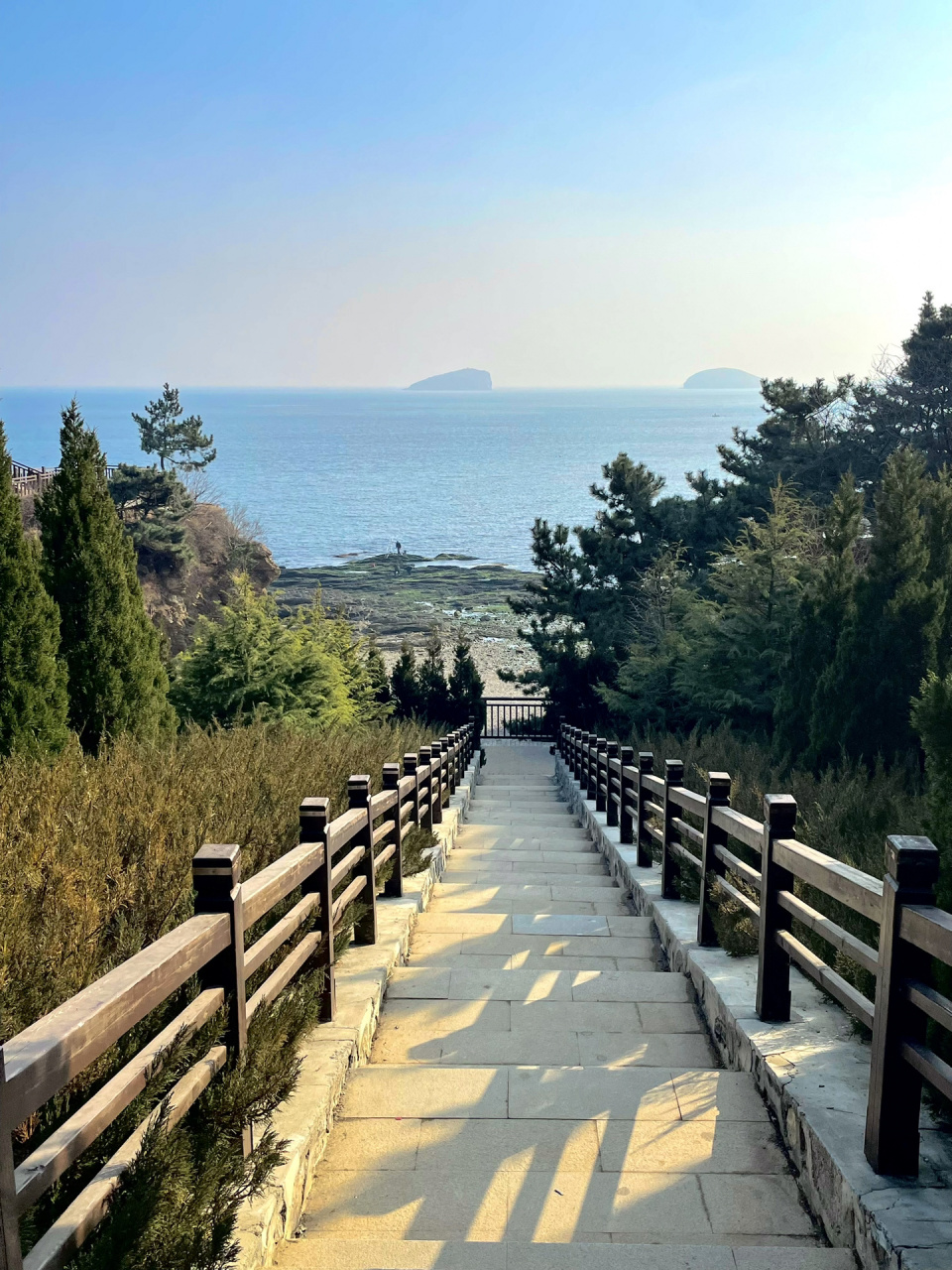 七贤岭森林公园是我在大连最喜欢的海滩 这个海滩小水洼里面摸到海葵