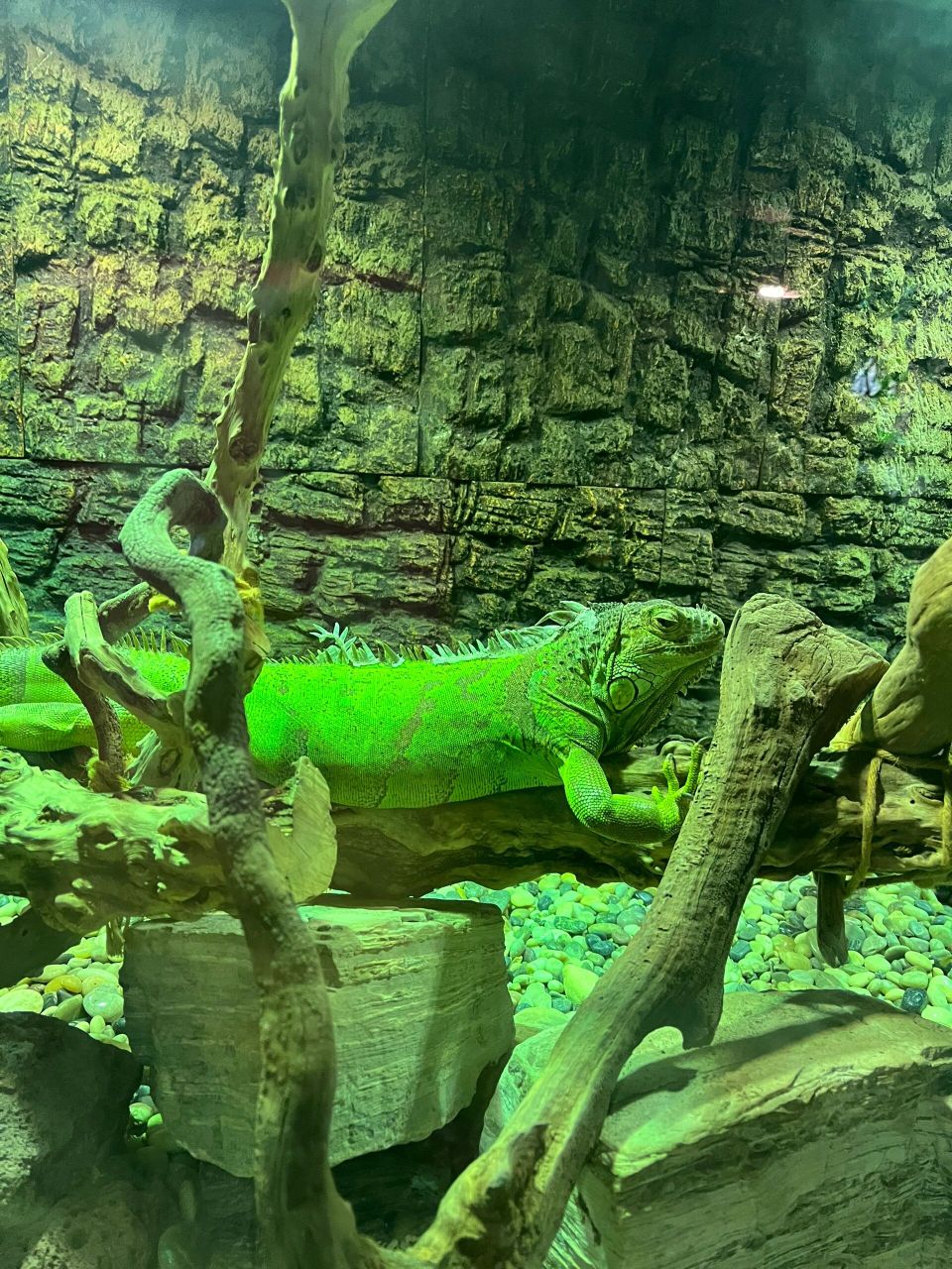 海昌极地海洋公园攻略  门票是包括六馆的:极地馆(主馆),未来水母馆