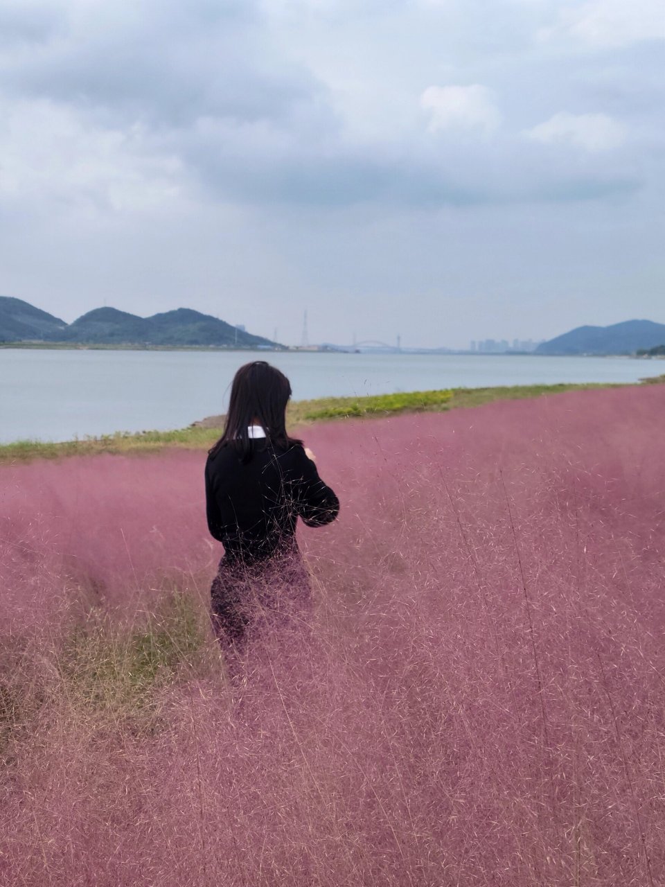 宁波北仑梅山岛图片