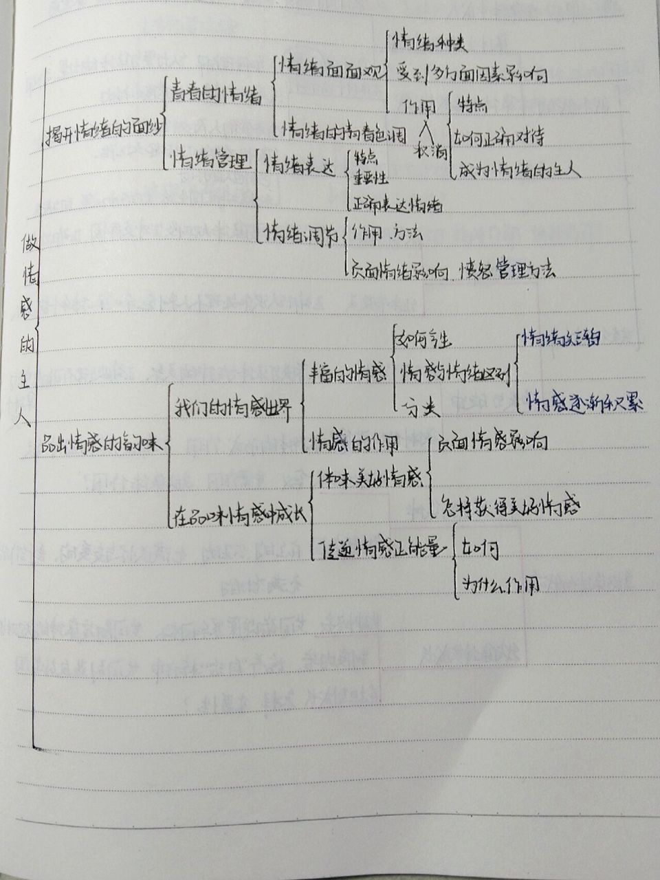 七下政治第二单元思维导图 七下政治七下政治第二单元思维导图