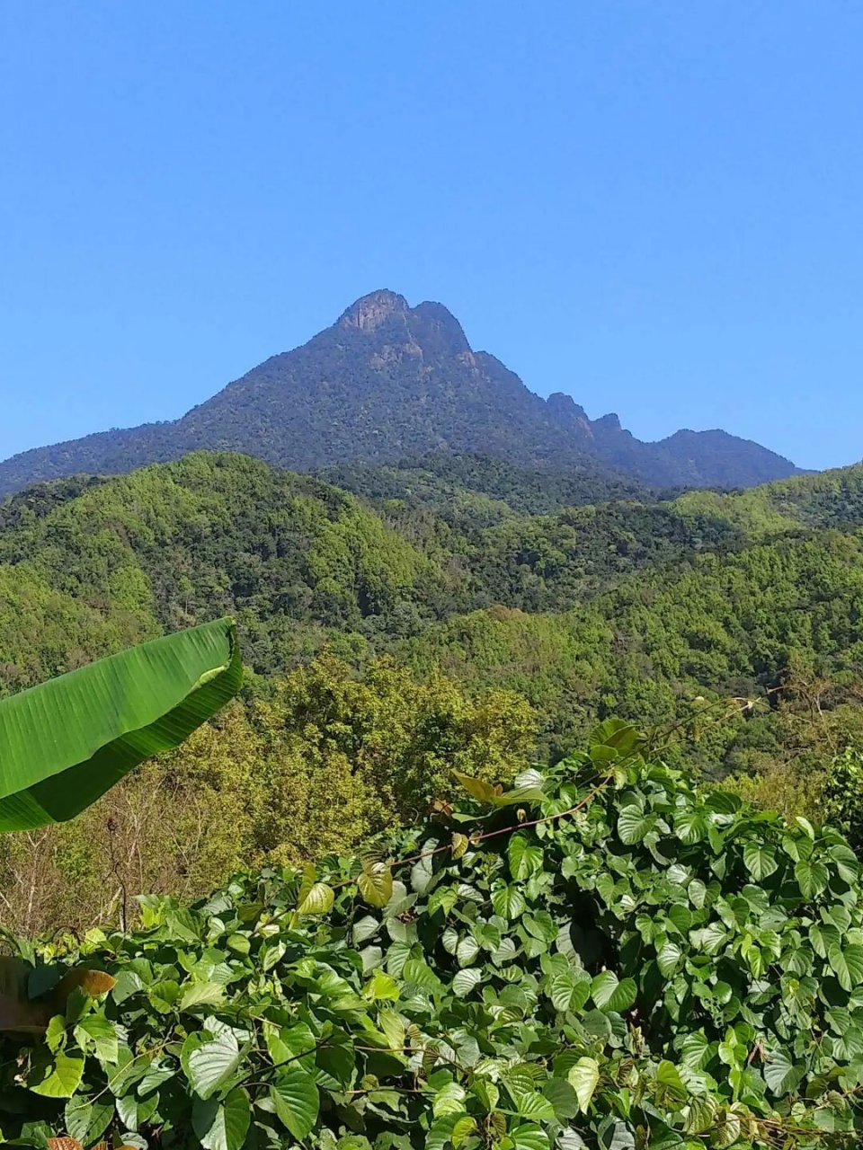 广州从化五指山图片