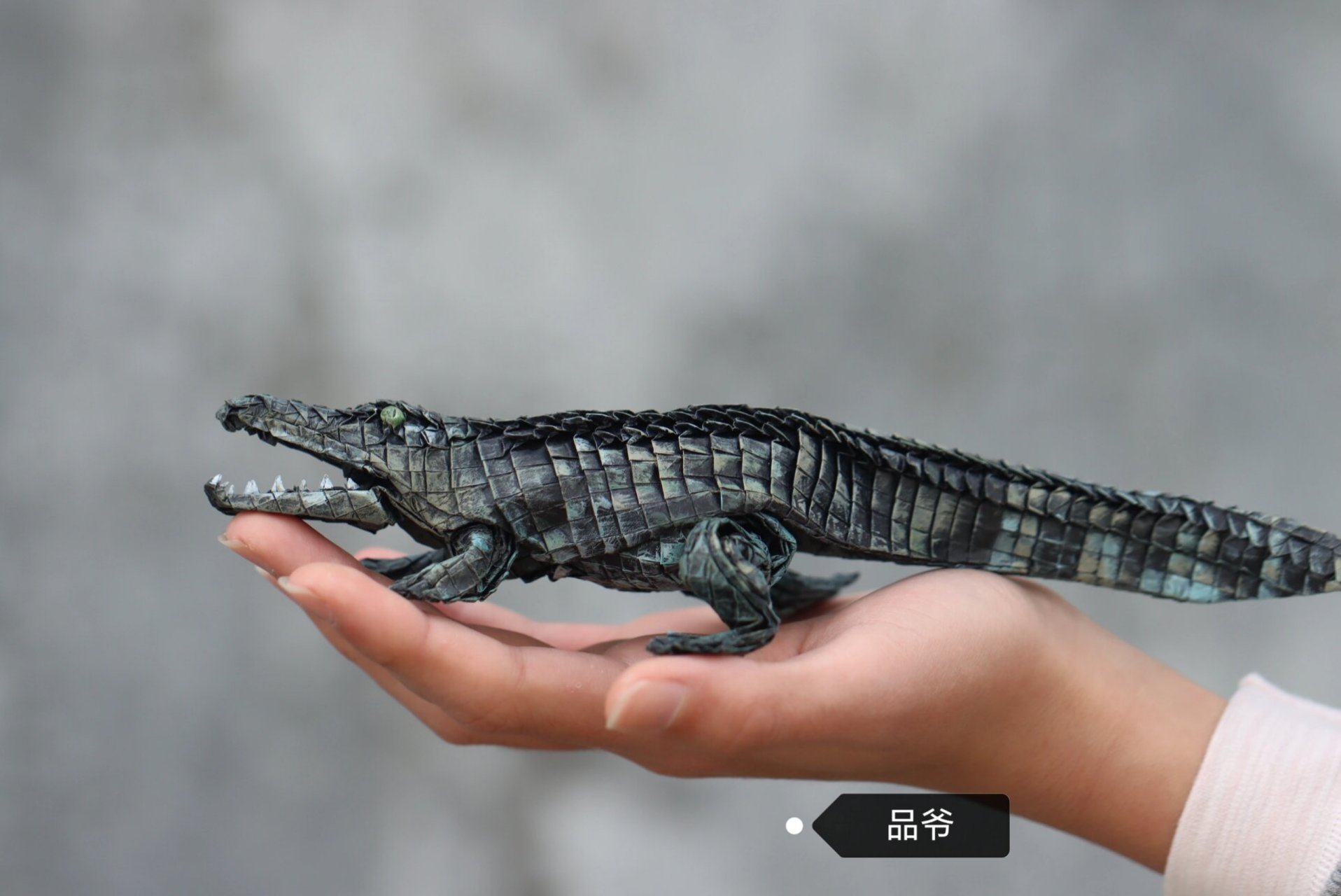 (品折纸)鳄鱼 完成于12岁那年的寒假,差不多整个寒假断断续续在做,打