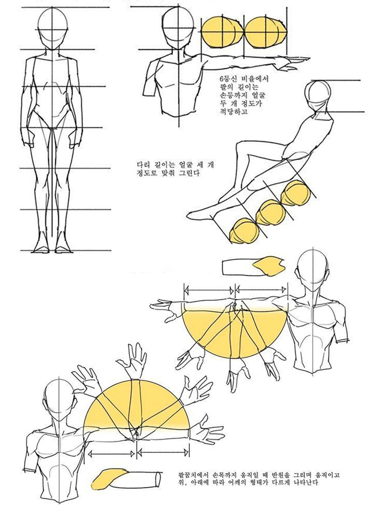 绘画干货 | 人体常见绘制比例参考95