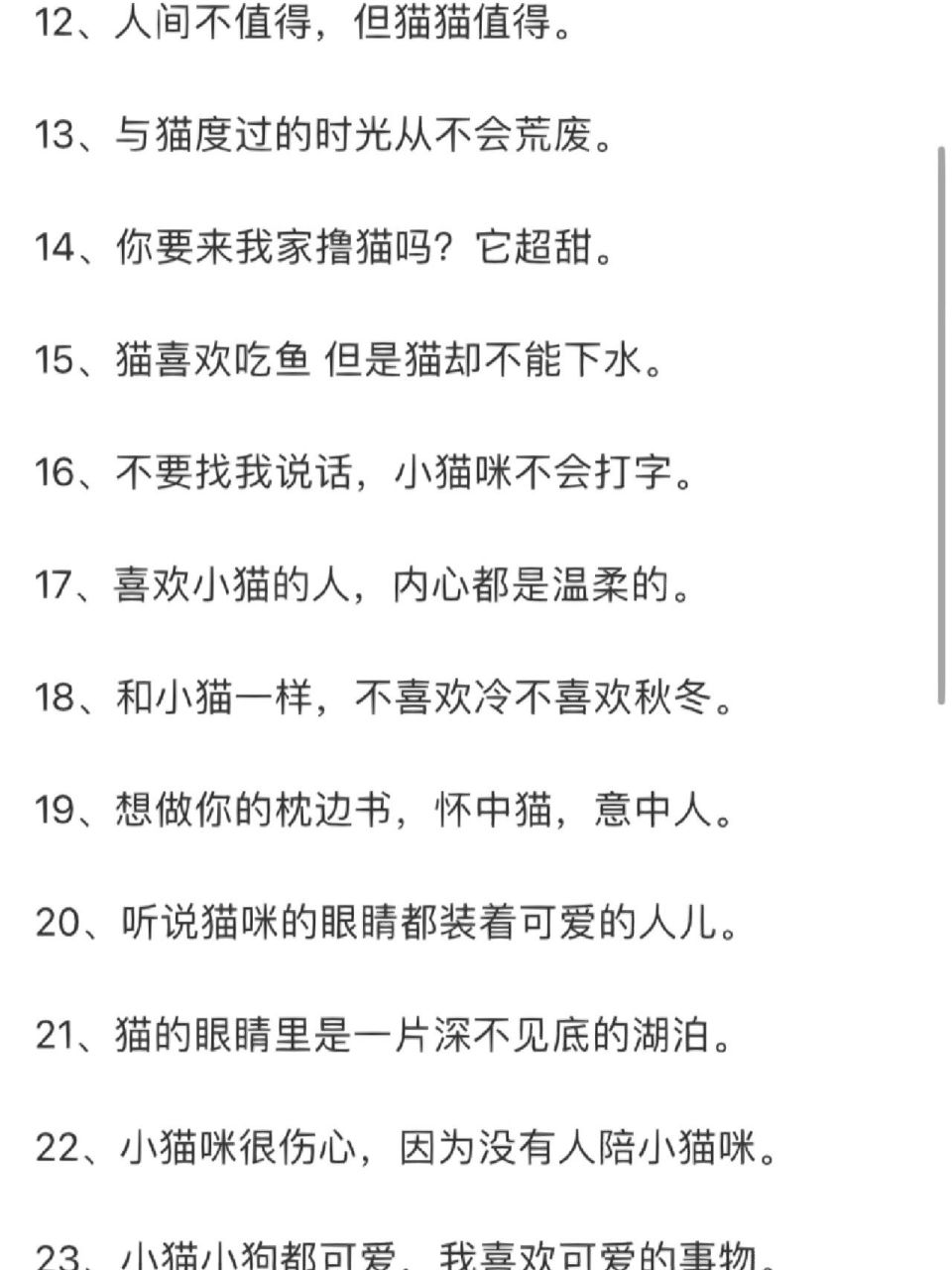 文案(猫咪文案) 926989适合晒猫的文案 01,吸一口猫气.