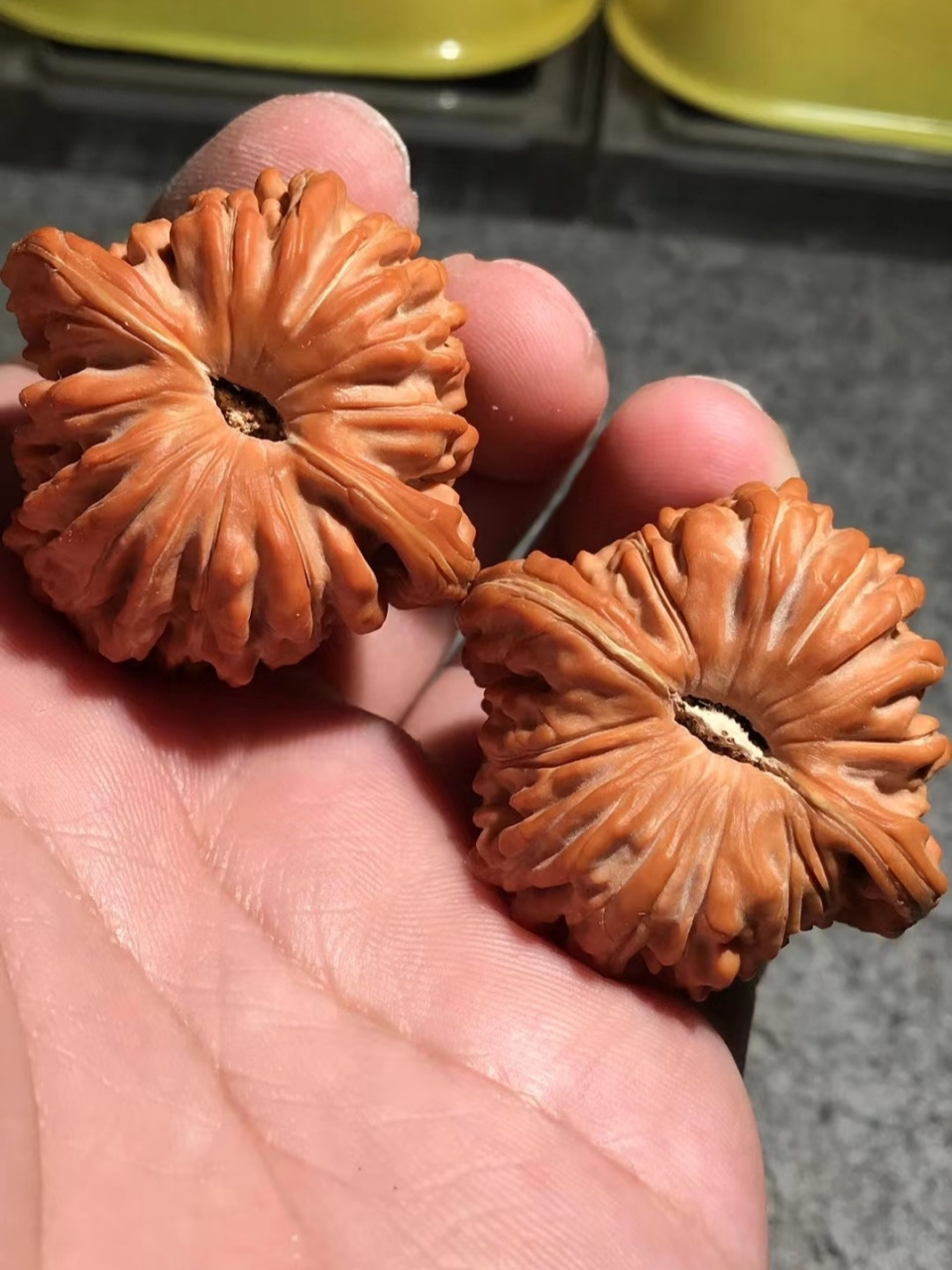 (四座楼) 大家好,我是一名文玩核桃爱好者,同时也是一名核桃生意小